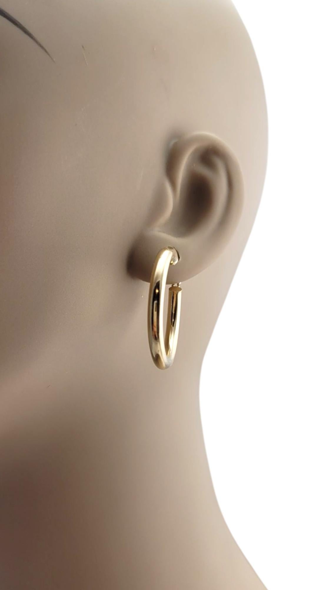14K Yellow Gold Circular Hoop Earrings #21113 For Sale 2