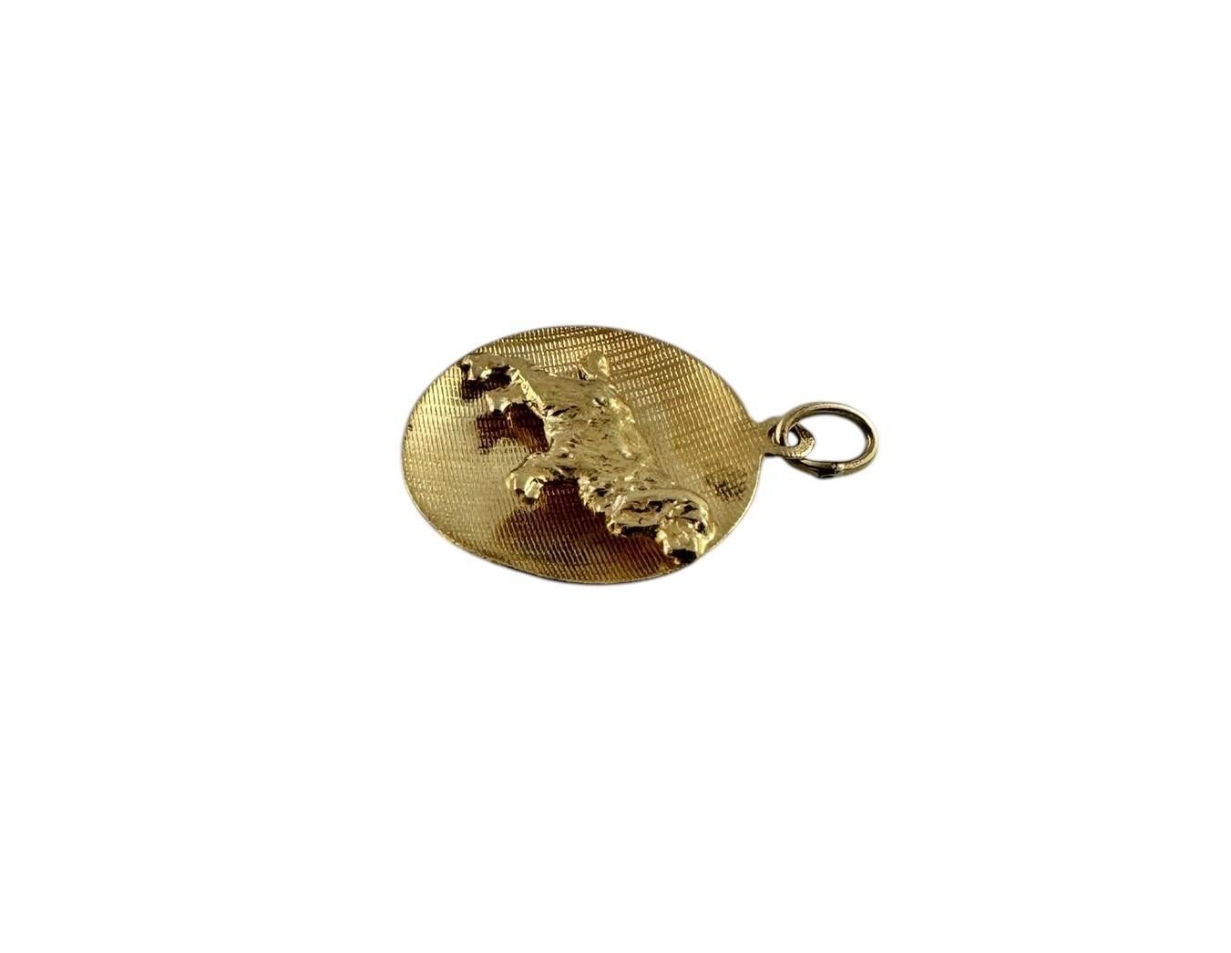 14K Yellow Gold Cocker Spaniel Dog Circle Pendant #19600 2