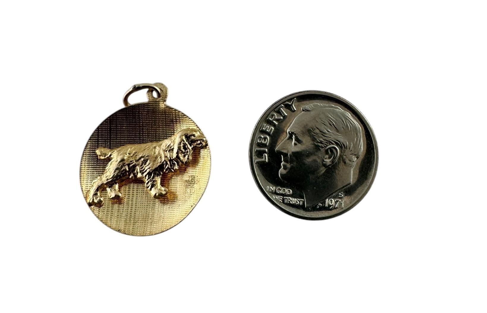 14K Yellow Gold Cocker Spaniel Dog Circle Pendant #19600 4