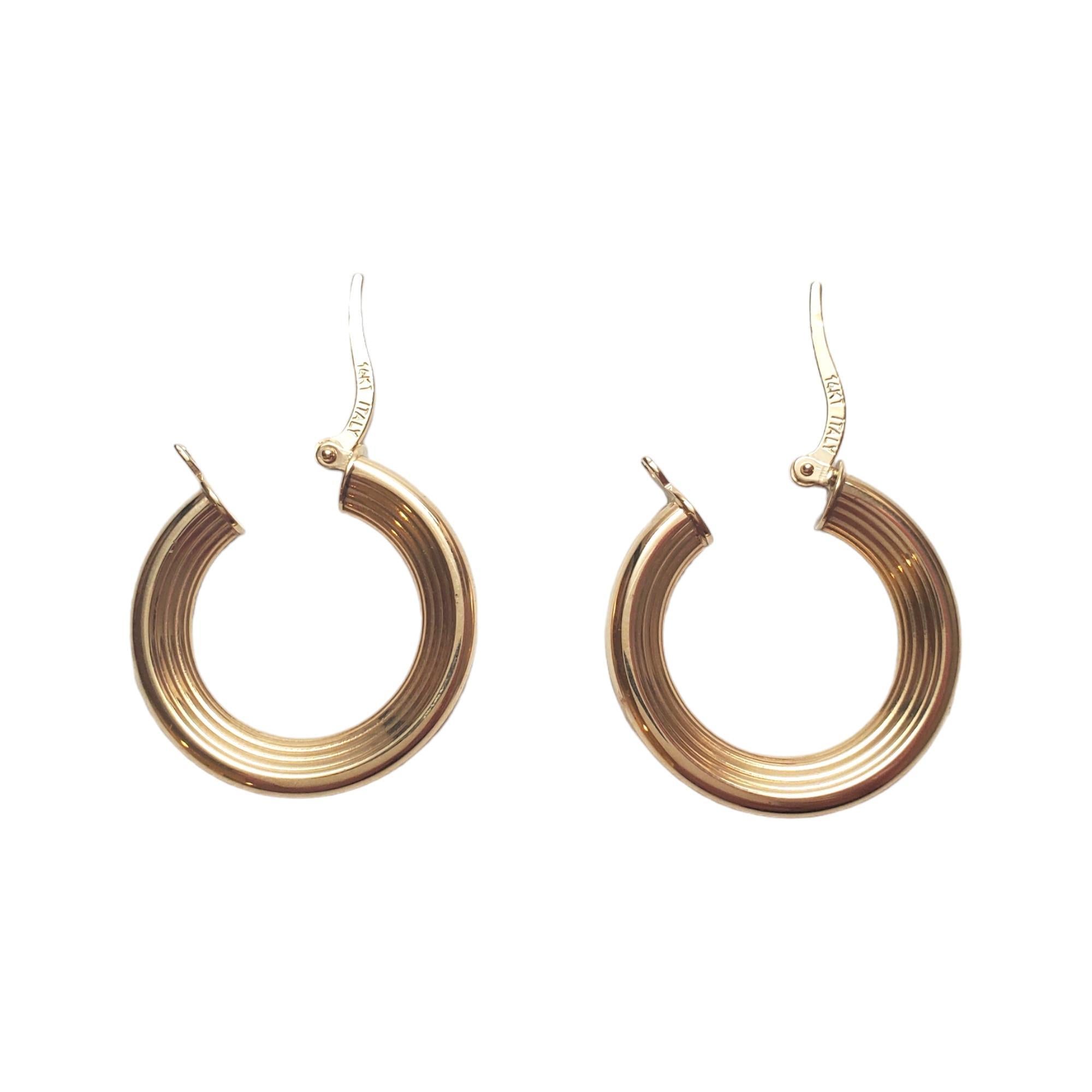 14K Yellow Gold Concave Ribbed Hoop Earrings #17628 In Good Condition For Sale In Washington Depot, CT