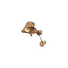 14K Yellow Gold Conch Shell Earrings