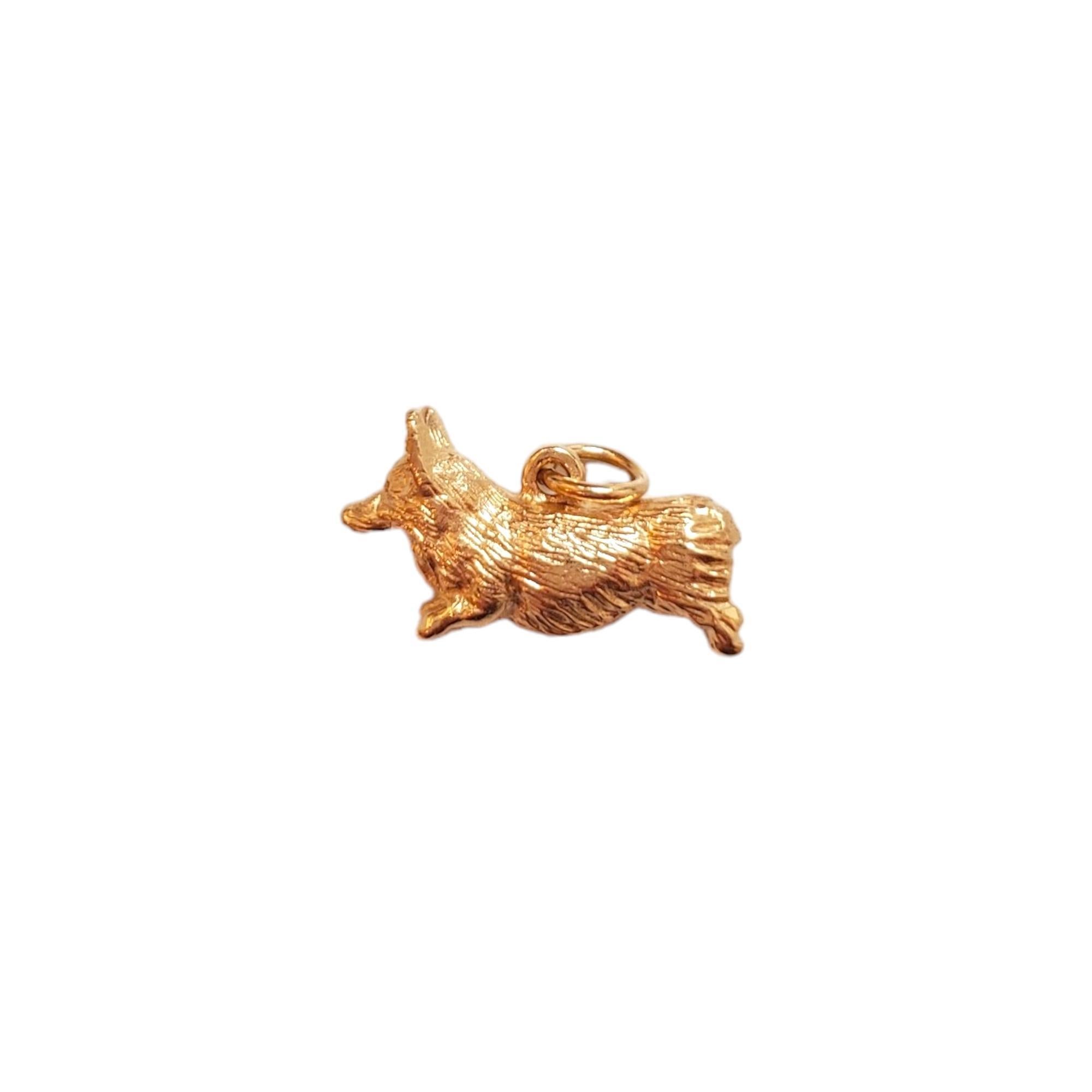 14K Yellow Gold Corgi Charm - 

This tiny corgi charm is as adorable as it is stylish and is beautifully crafted in 14k yellow gold. 

Marked: 14K

Weight: 3.6 g/ 2.3 dwt.

Size: 10 mm X 17 mm 5.3 mm

Chain not included. 

Very good condition,