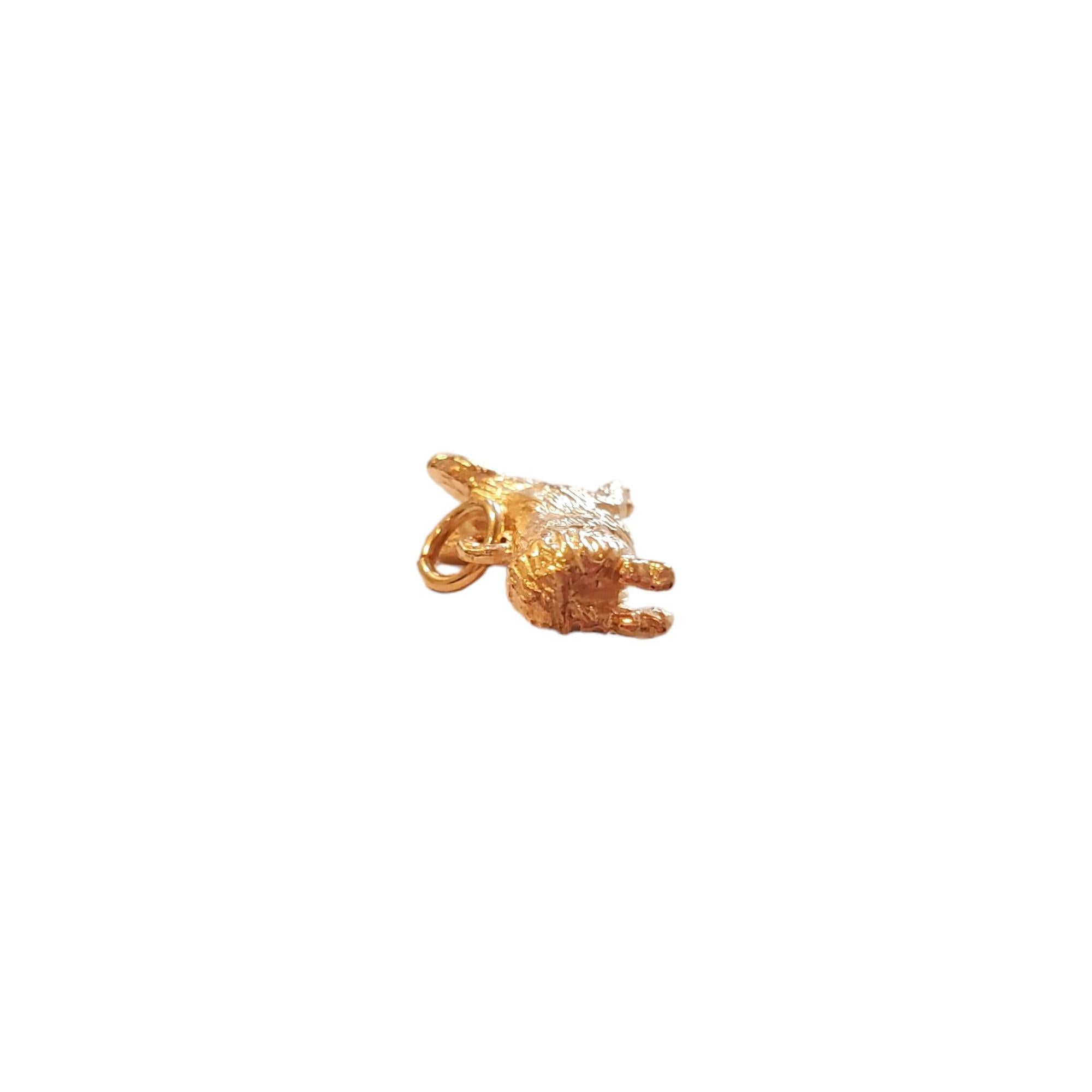 Women's 14K Yellow Gold Corgi Dog Charm #18121