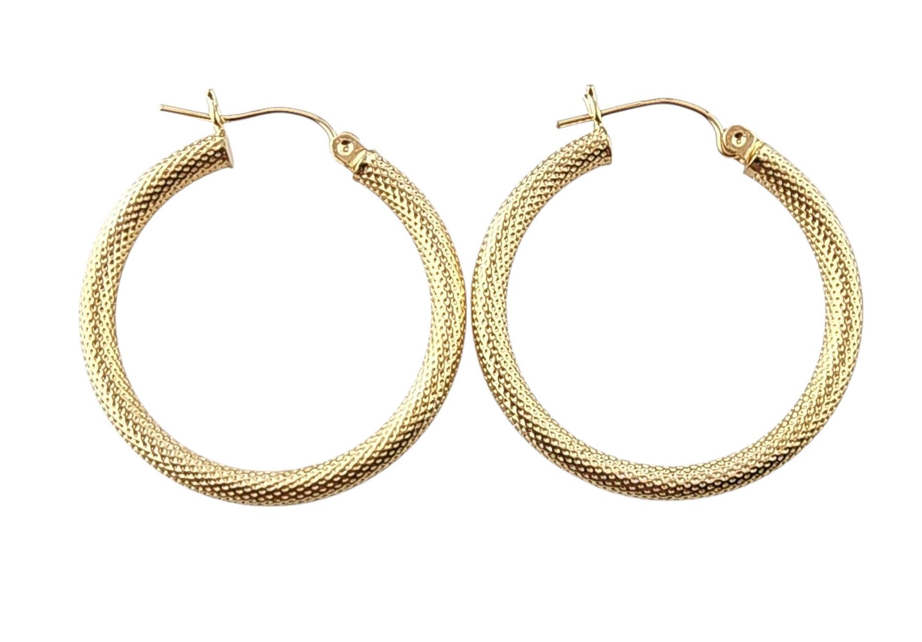 Boucles d'oreilles en or jaune 14k à motif de blé taillé en diamant

Magnifiquement réalisés en or jaune 14 carats, ces anneaux présentent un motif orné inspiré du blé, rehaussé de détails précis taillés en diamant pour plus d'éclat et de