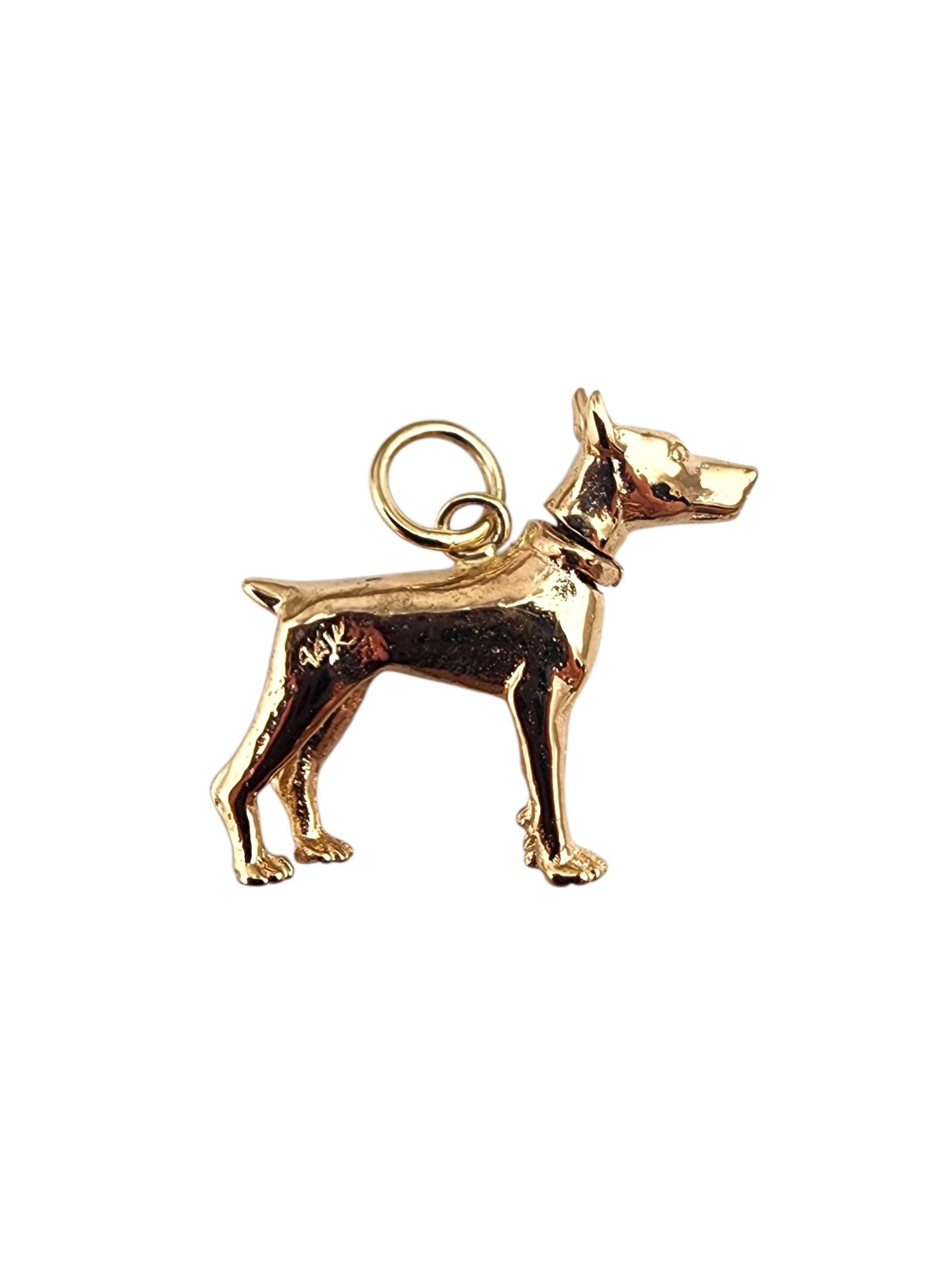 Charm en or jaune 14K avec tête de chien Doberman Pincher #22362 Bon état - En vente à Washington Depot, CT