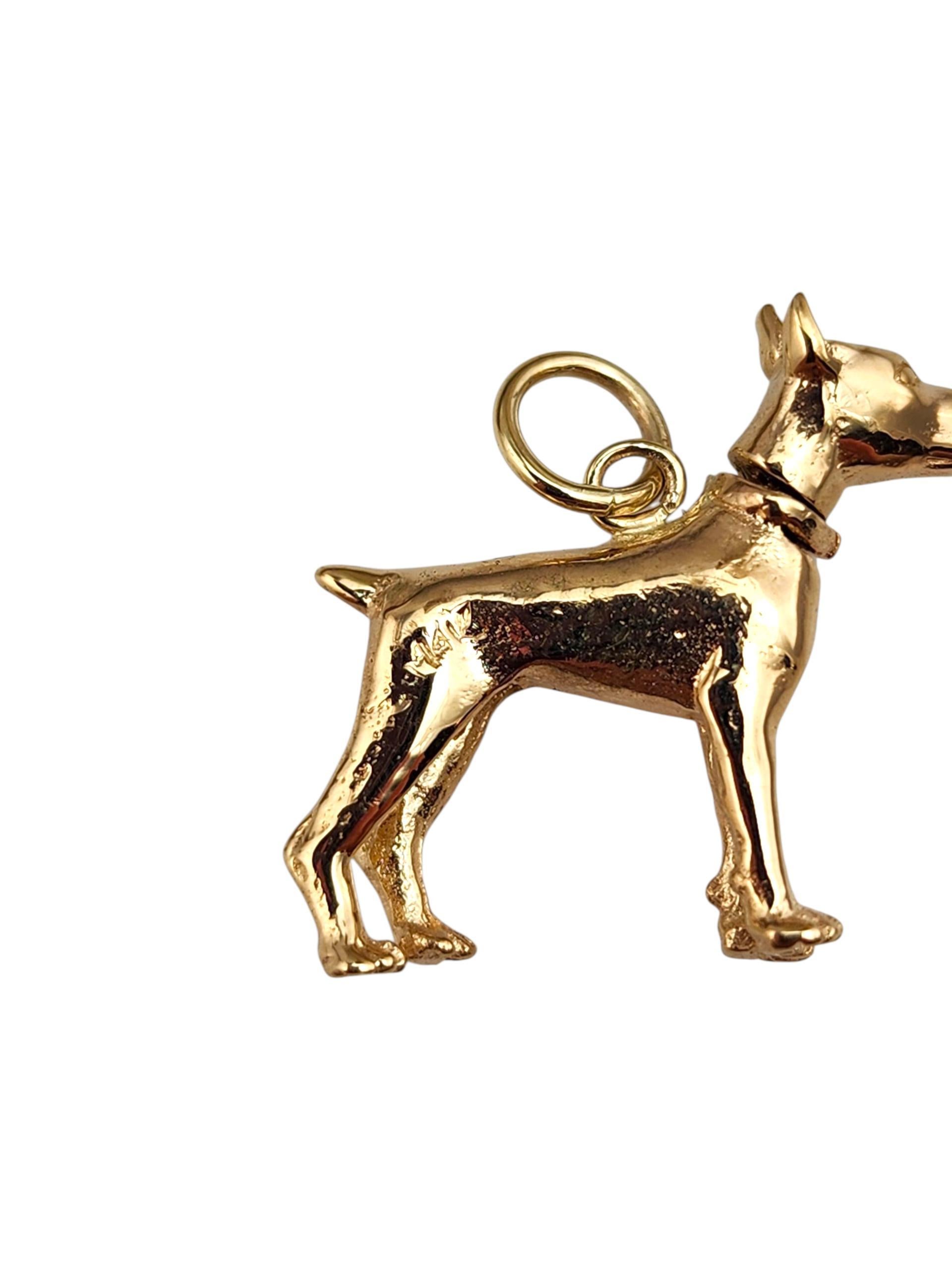 Charm en or jaune 14K avec tête de chien Doberman Pincher #22362 Pour femmes en vente