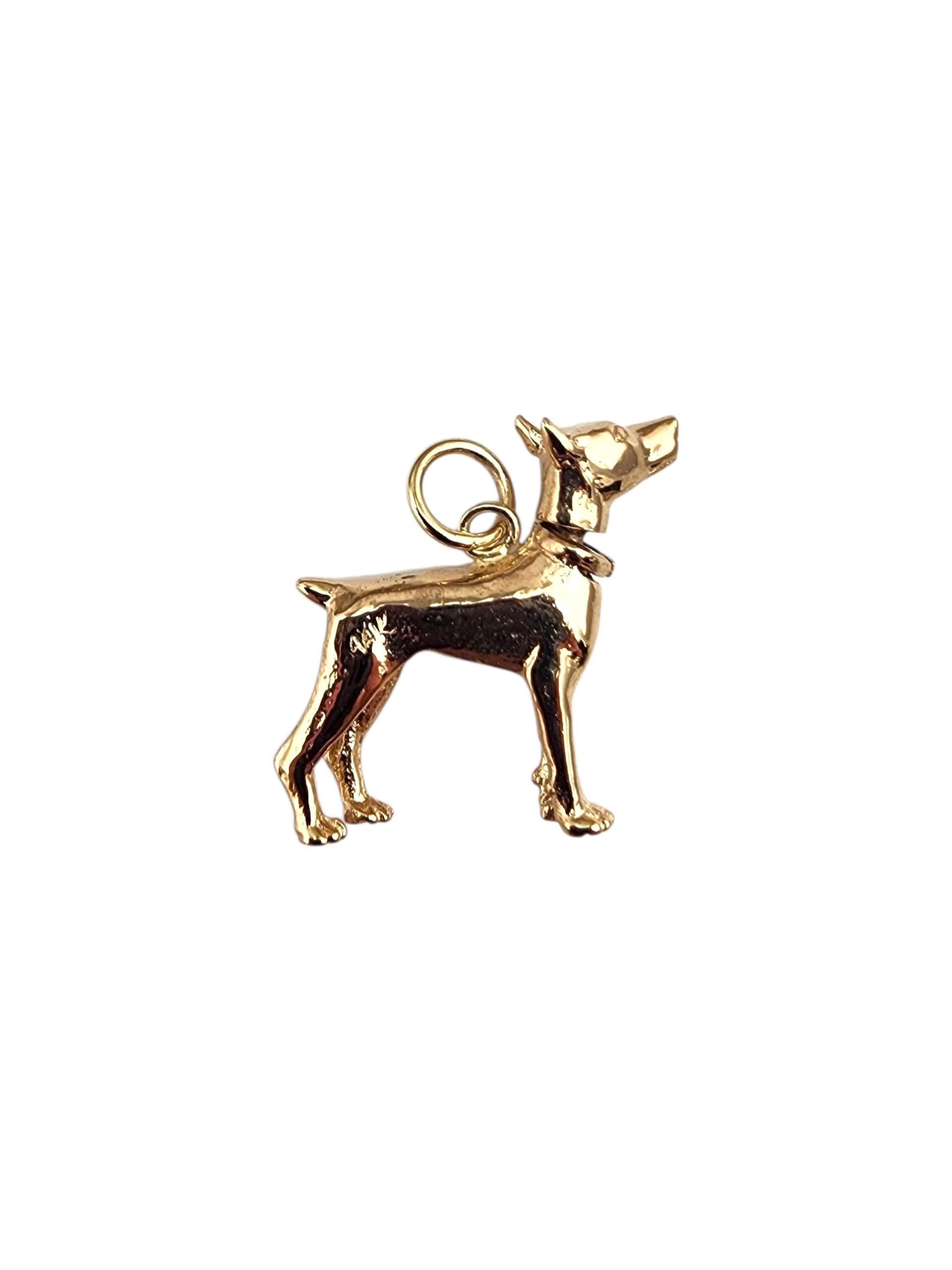 Charm en or jaune 14K avec tête de chien Doberman Pincher #22362 en vente 1