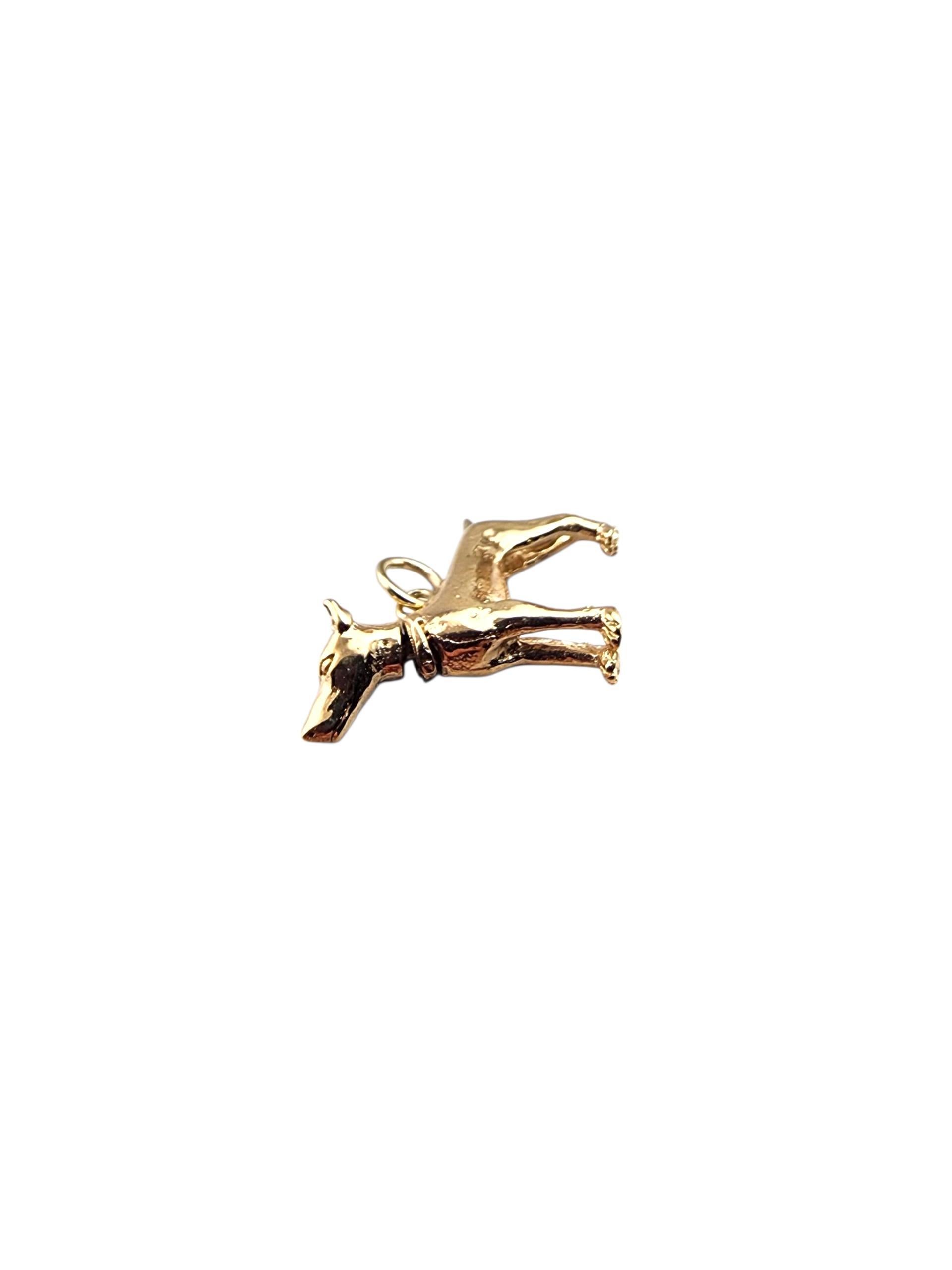 Charm en or jaune 14K avec tête de chien Doberman Pincher #22362 en vente 4