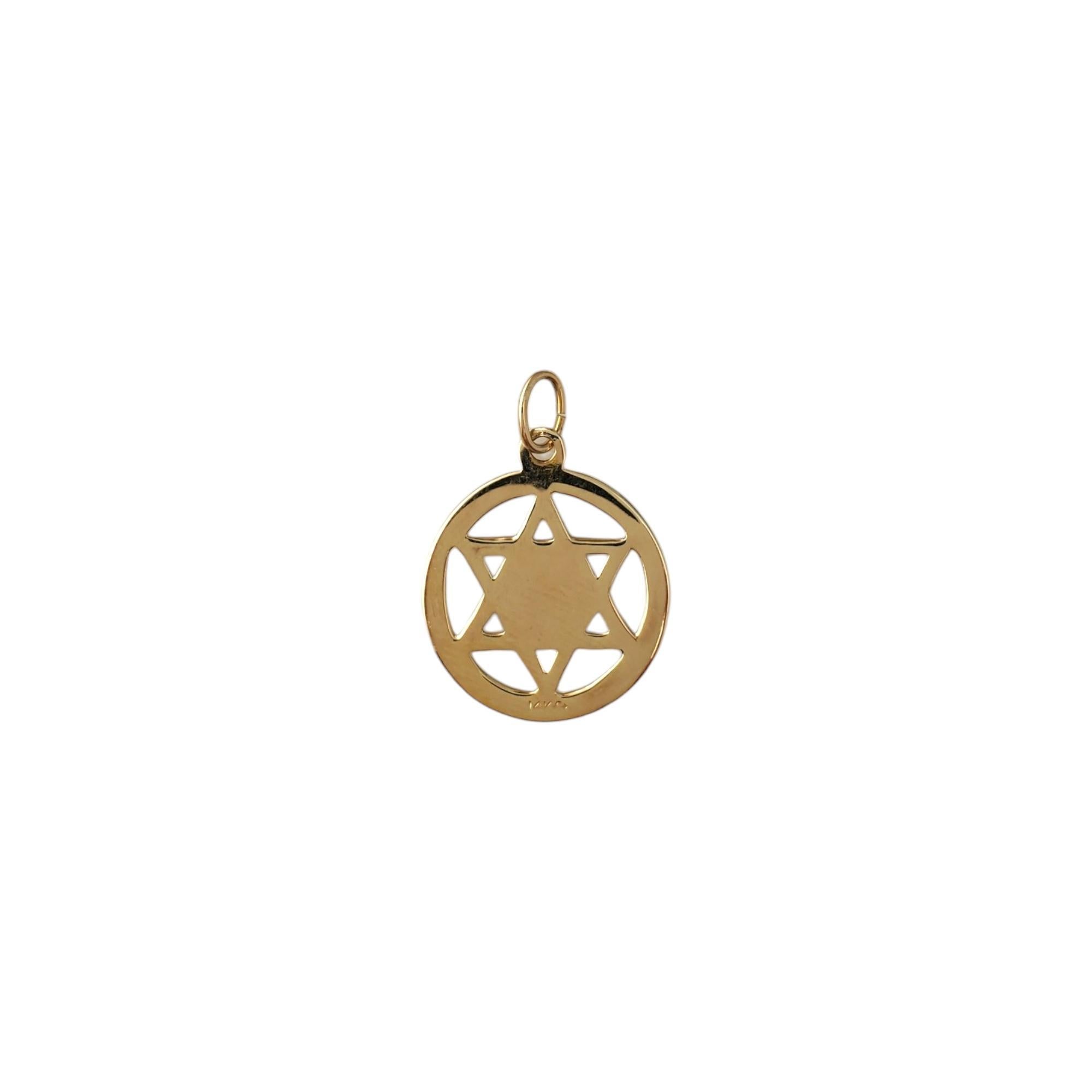 Vintage 14K Gelbgold & Emaille Davidstern Charme - 

Dieser schöne Davidstern-Charm steht für den Glauben und ist ein sinnvolles Accessoire für jedes Outfit. 

In Gelbgold mit weißem Emaille-Akzent in der Mitte gefasst.

Größe: 16,88 mm x 14,36