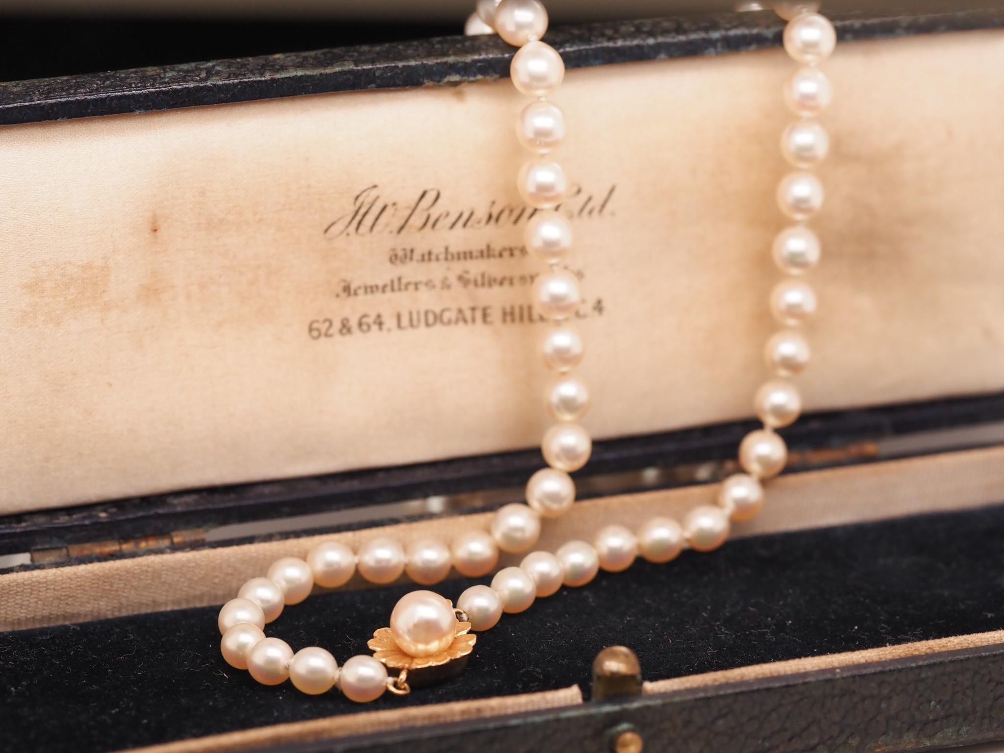 14K Yellow Gold Graduating Pearl Necklace For Sale 2
