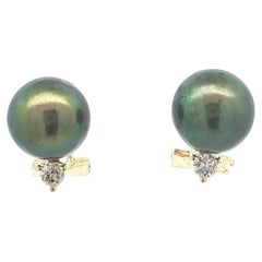 14k Yellow Gold Greenish Gray Pearl w/ Diamond Drop Omega Back Earrings