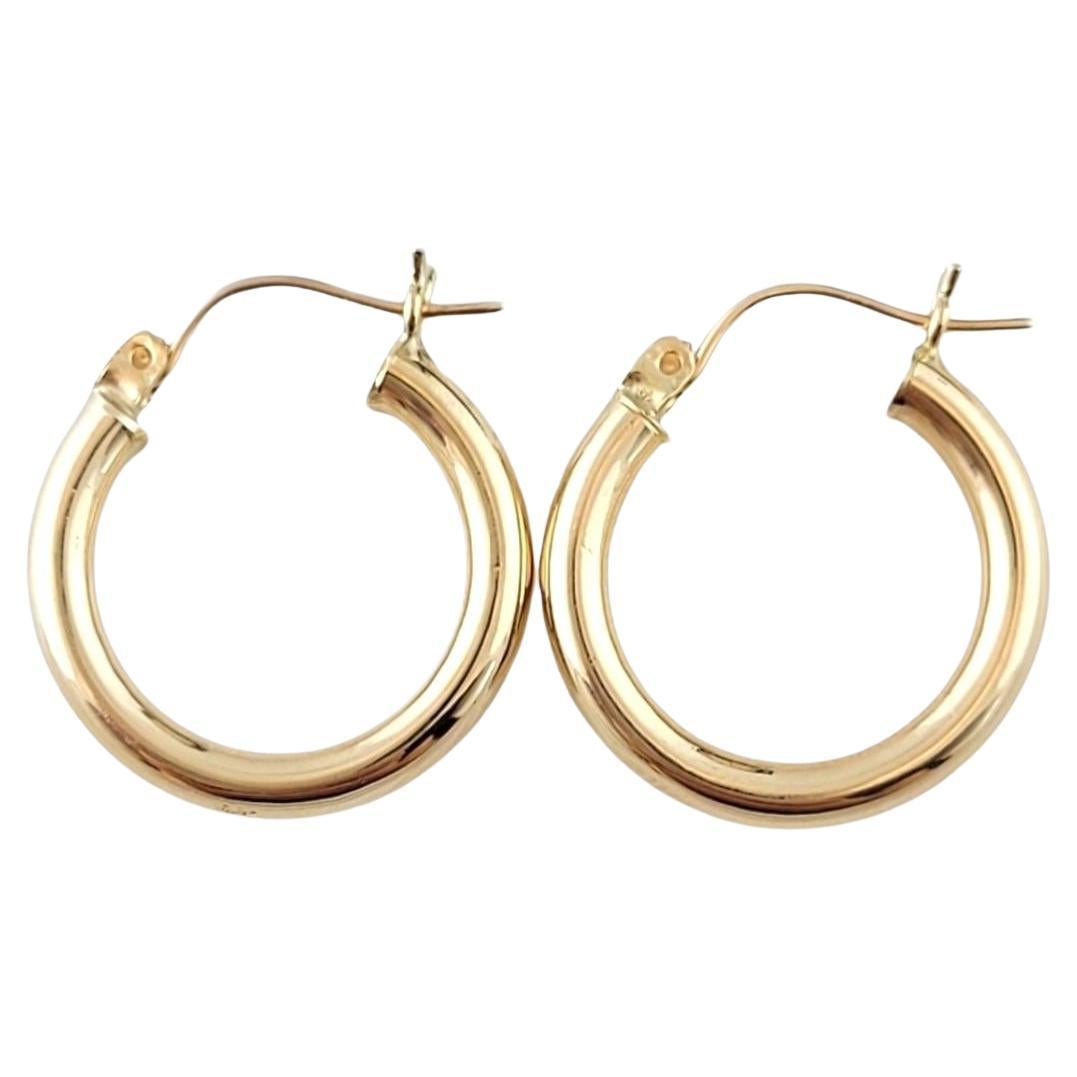 14K Yellow Gold Hoop Earrings #15164