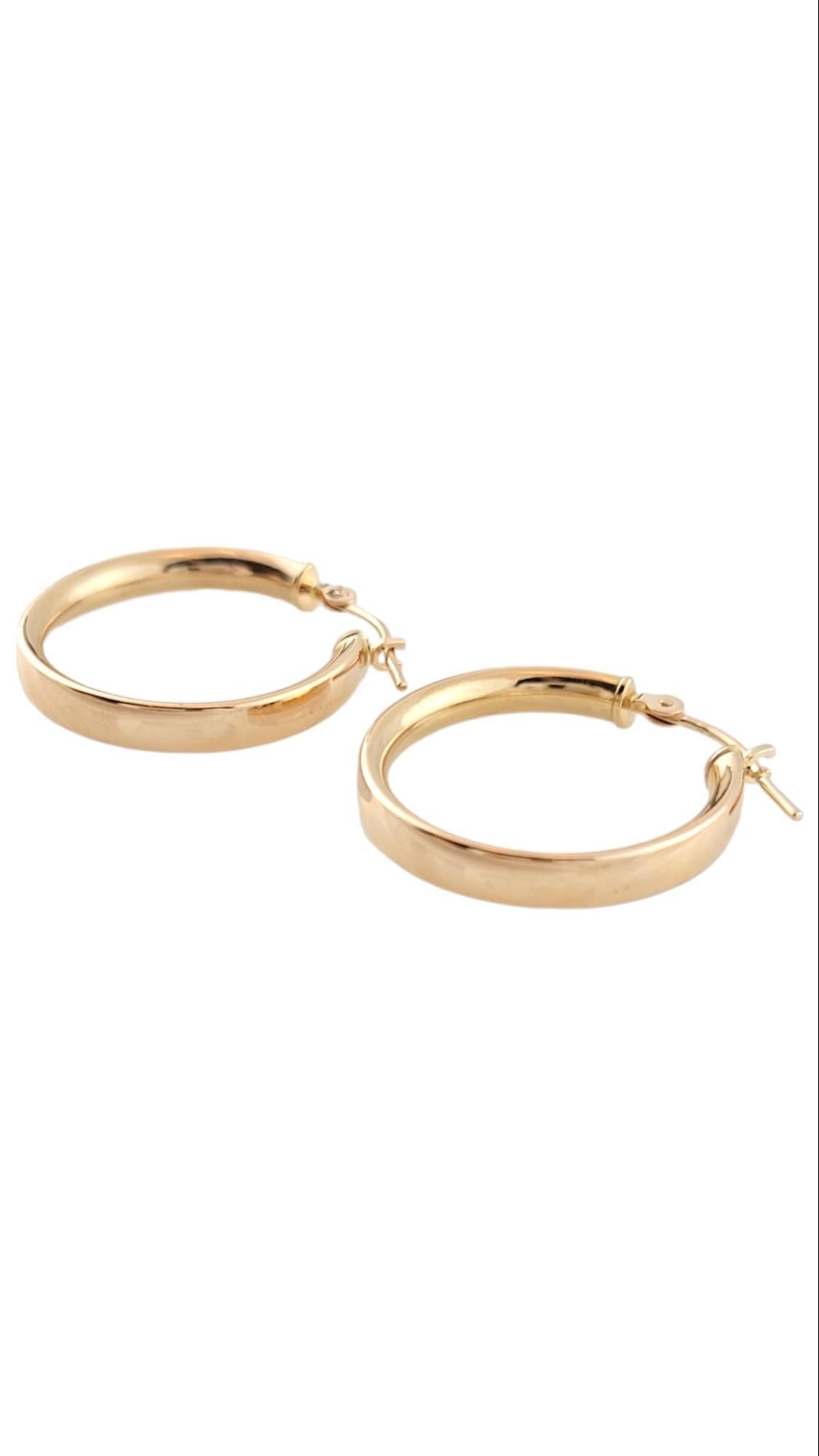 14K Yellow Gold Hoops

This gorgeous set of classic hoops are crafted from 14K yellow gold!

Diameter: 20.14mm / 0.79