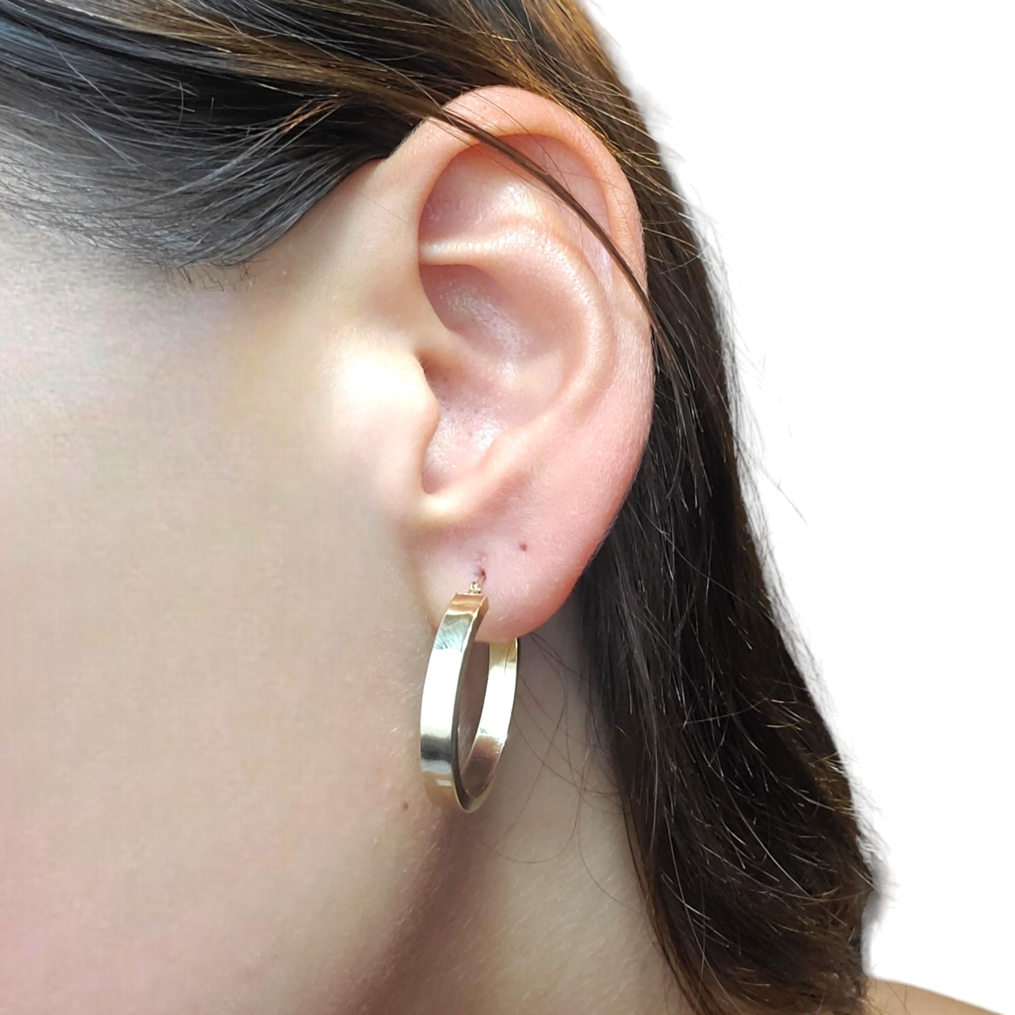 14K Yellow Gold Hoop Earrings

These square-edge 14K yellow gold hoop earrings are the perfect addition to your jewelry collection. 

Hallmark: 14K

Weight: 1.6 g/ 1.0 dwt.

Size: 1.8 mm X 1.8 mm X 3.9 mm 

Diameter: 25.4 mm 

Very good condition,