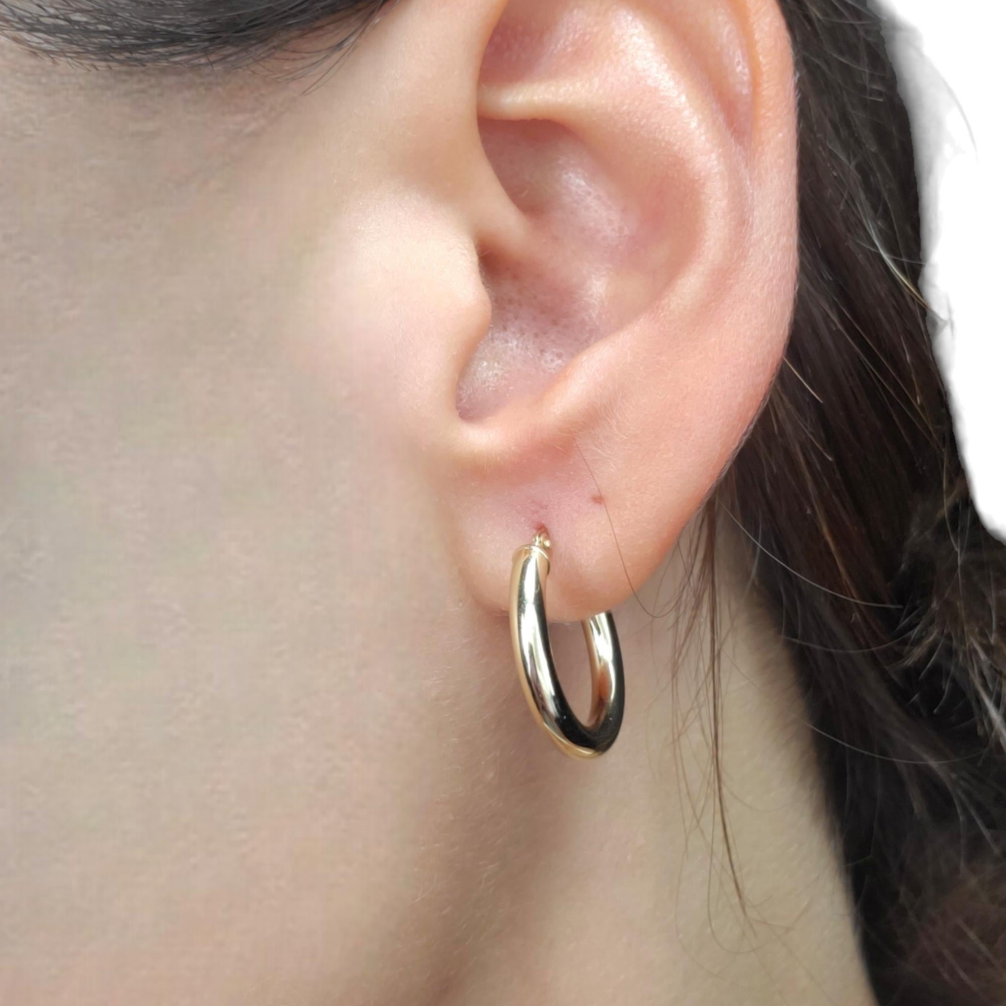 14K Yellow Gold Hoop Earrings #17949 For Sale 2