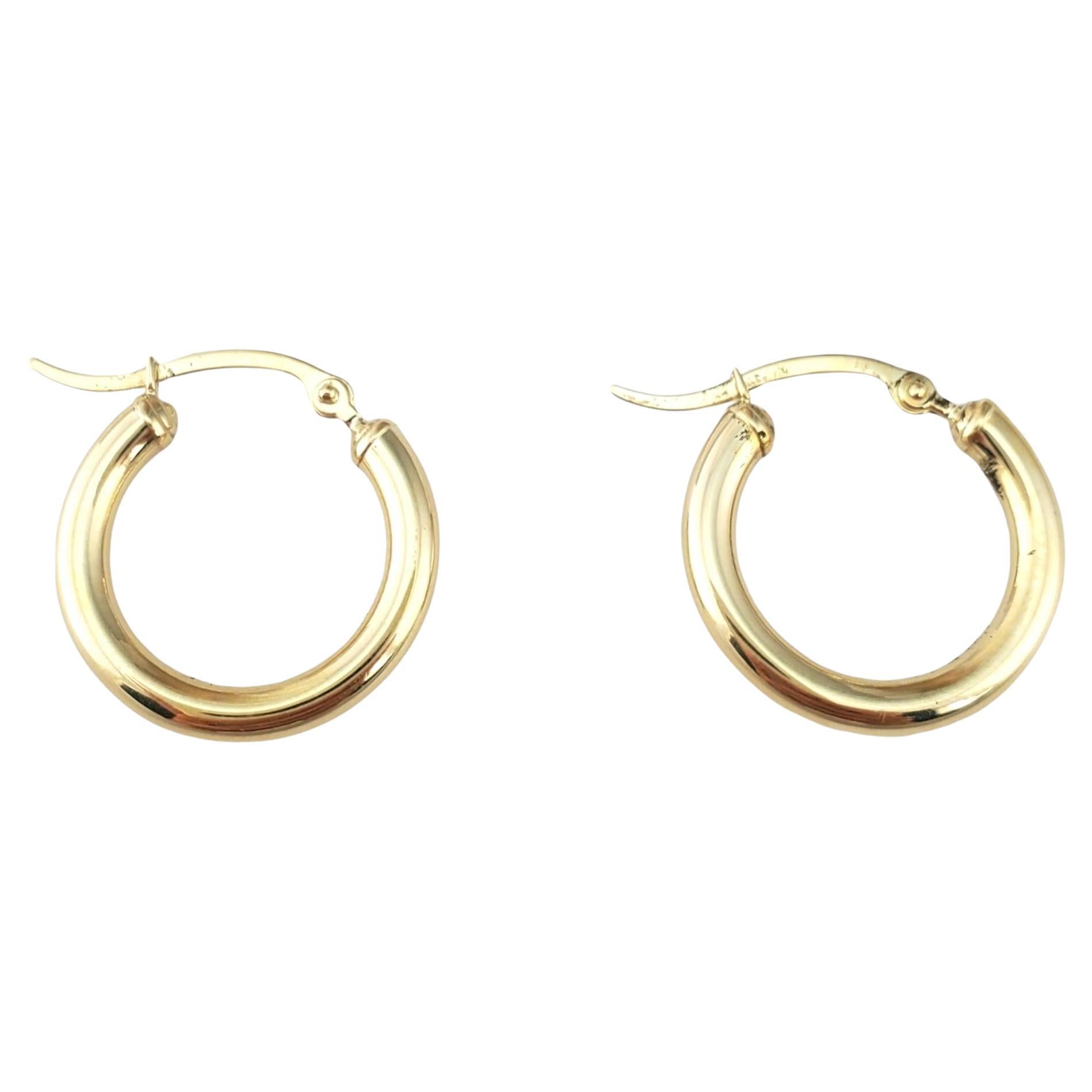 14K Yellow Gold Hoop Earrings #17949
