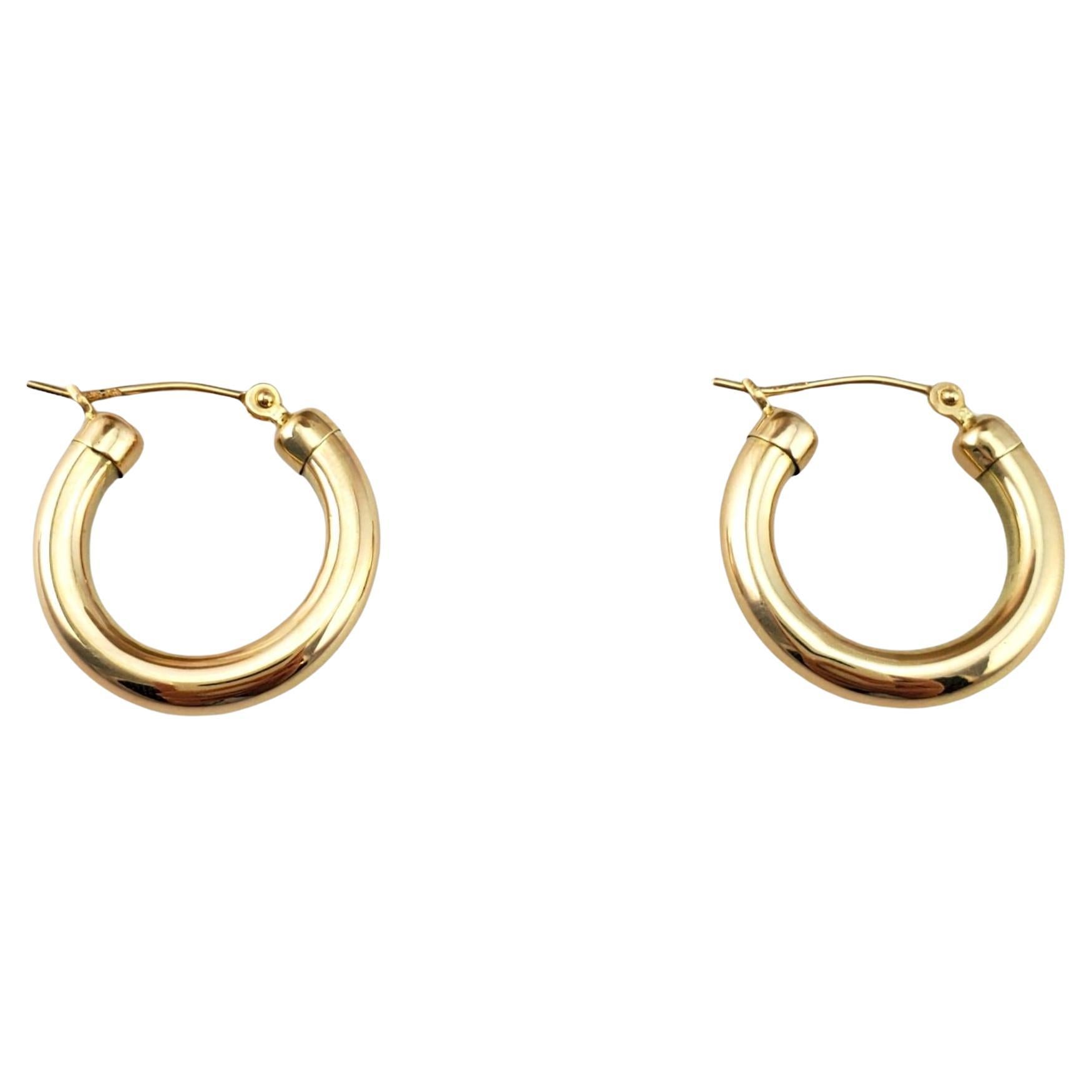 14K Yellow Gold Hoop Earrings #17954