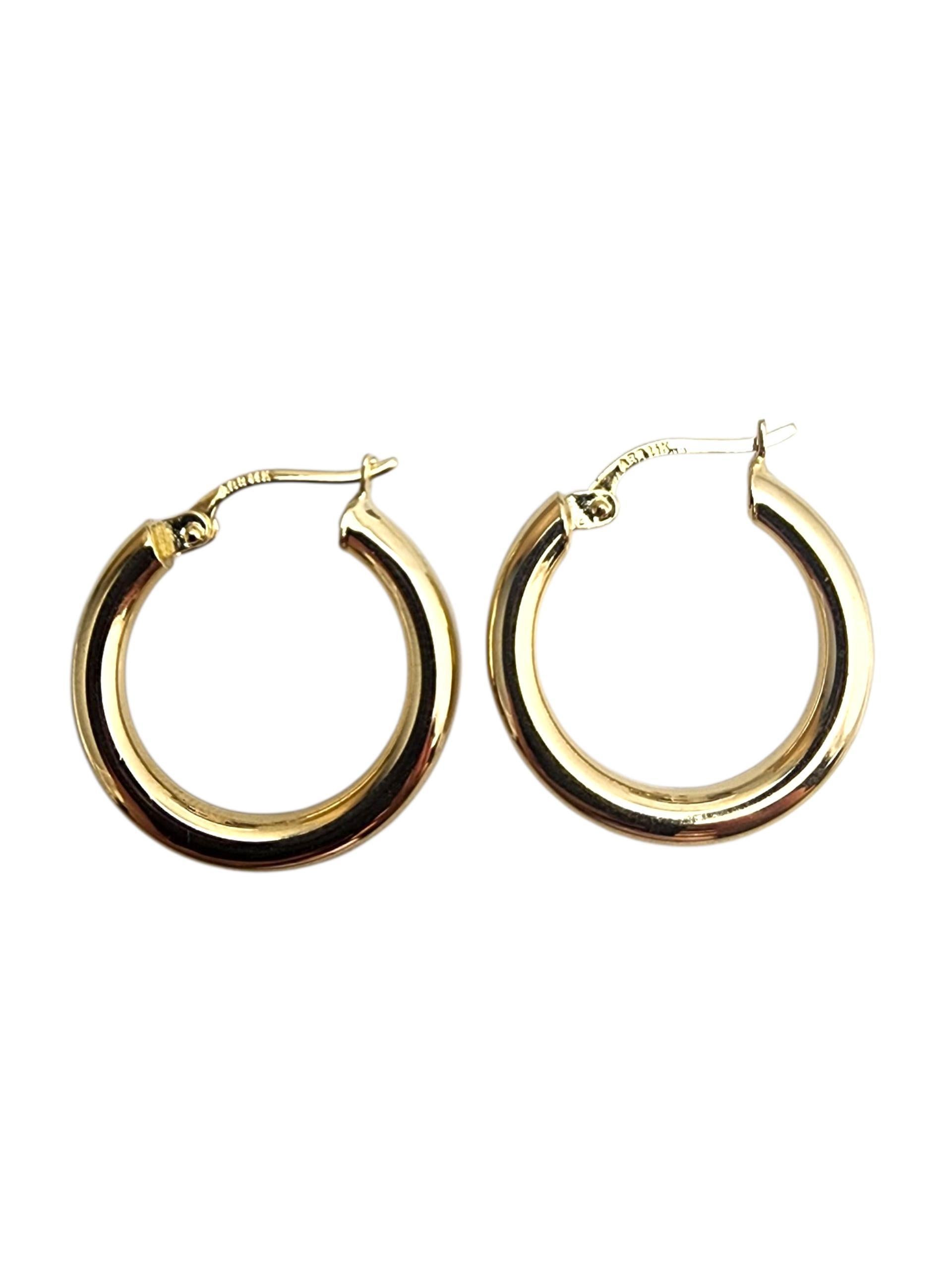 14K Yellow Gold Hoop Earrings #22856