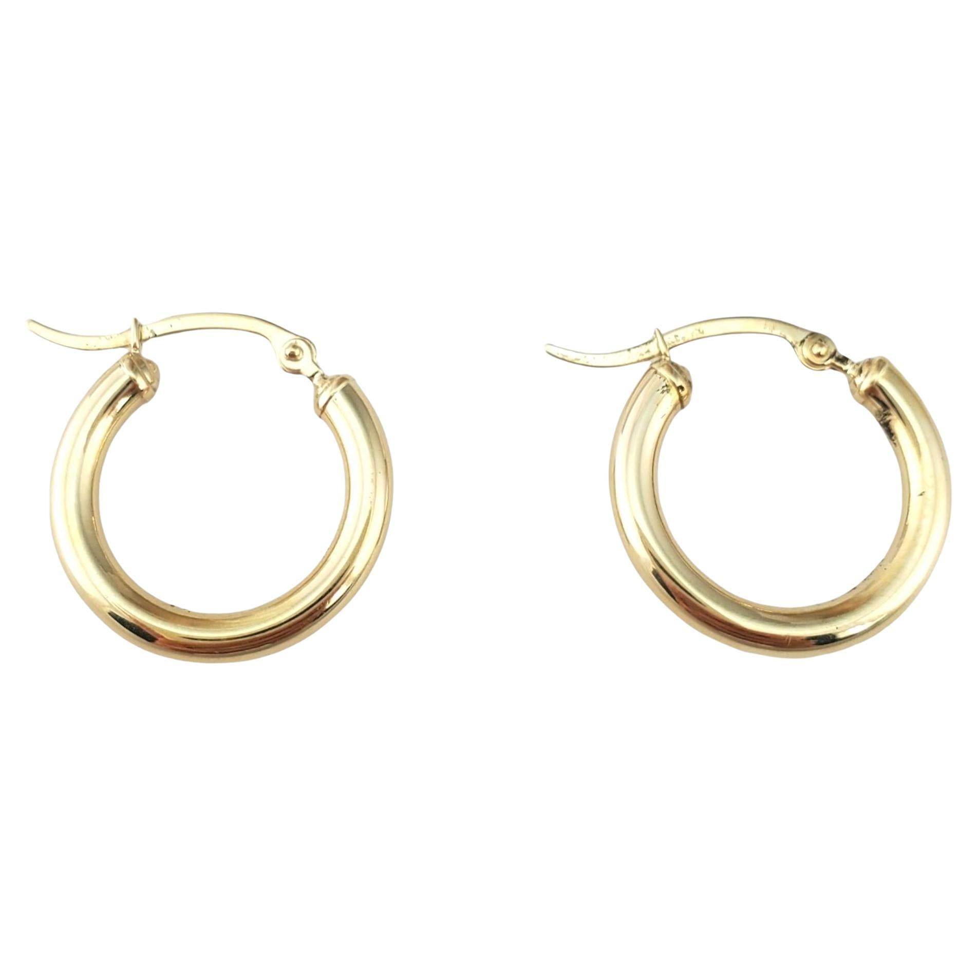 14K Yellow Gold Hoop Earrings #24295 For Sale