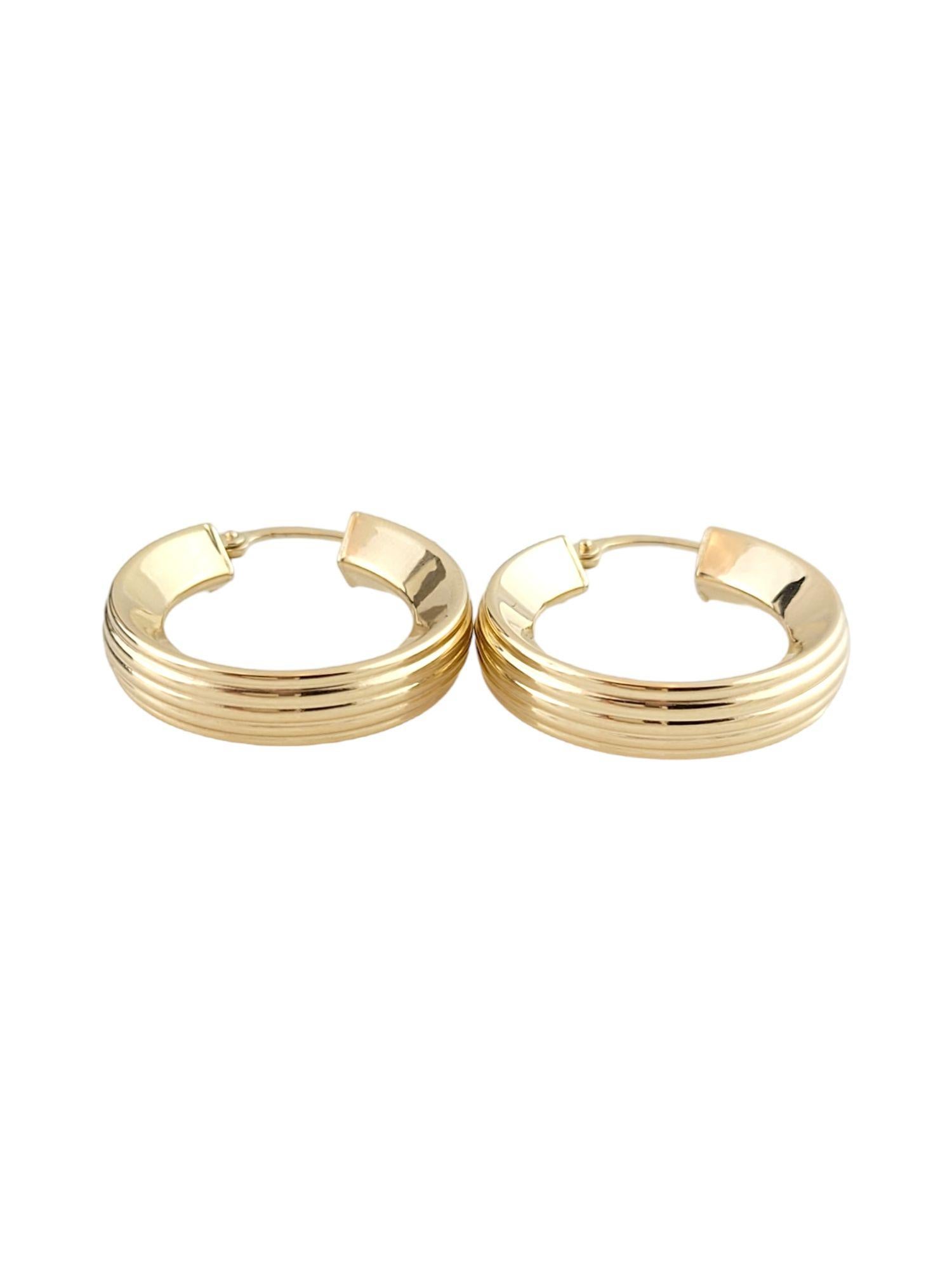 Women's 14k Yellow Gold Hoop Earrings