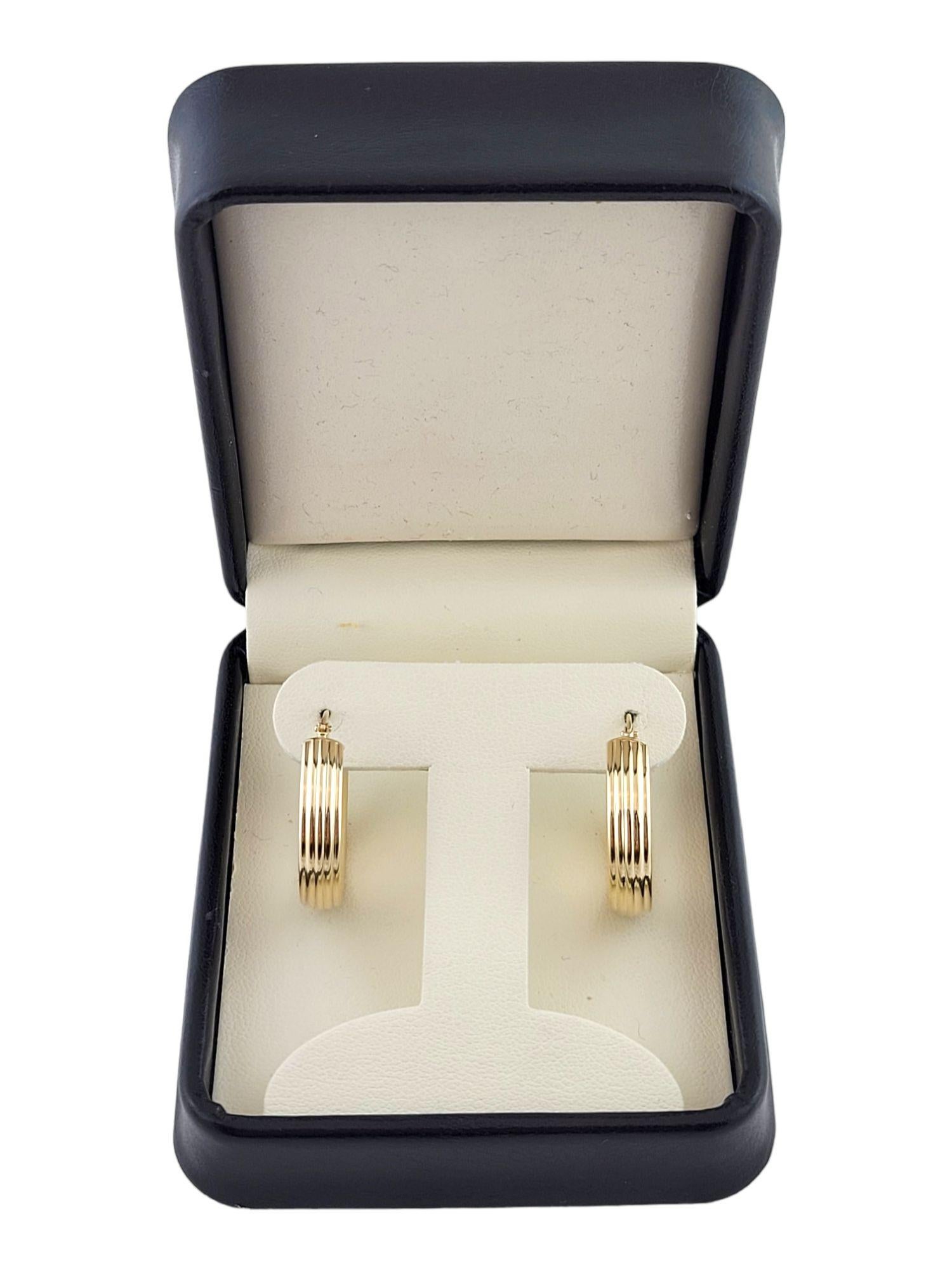 14k Yellow Gold Hoop Earrings 2