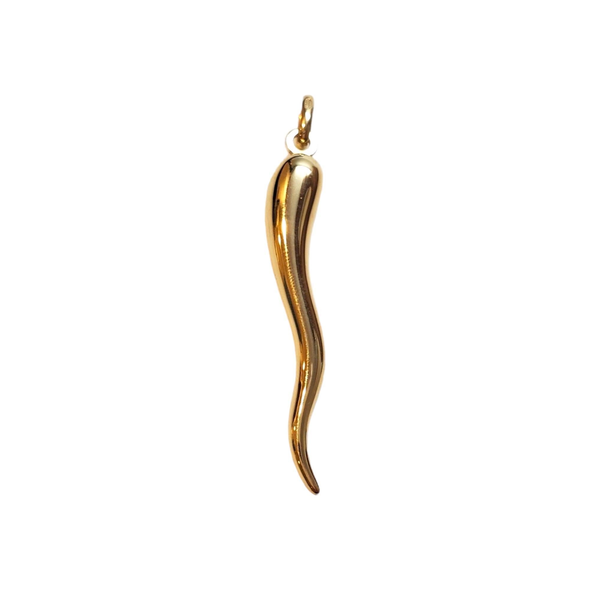14K Yellow Gold Italian Horn Charm 

The Italian Horn Charm—a little slice of Italian tradition, wrapped in luxury! Crafted from radiant 14 karat gold, this charm embodies the essence of Italian culture with its sleek, horn-shaped