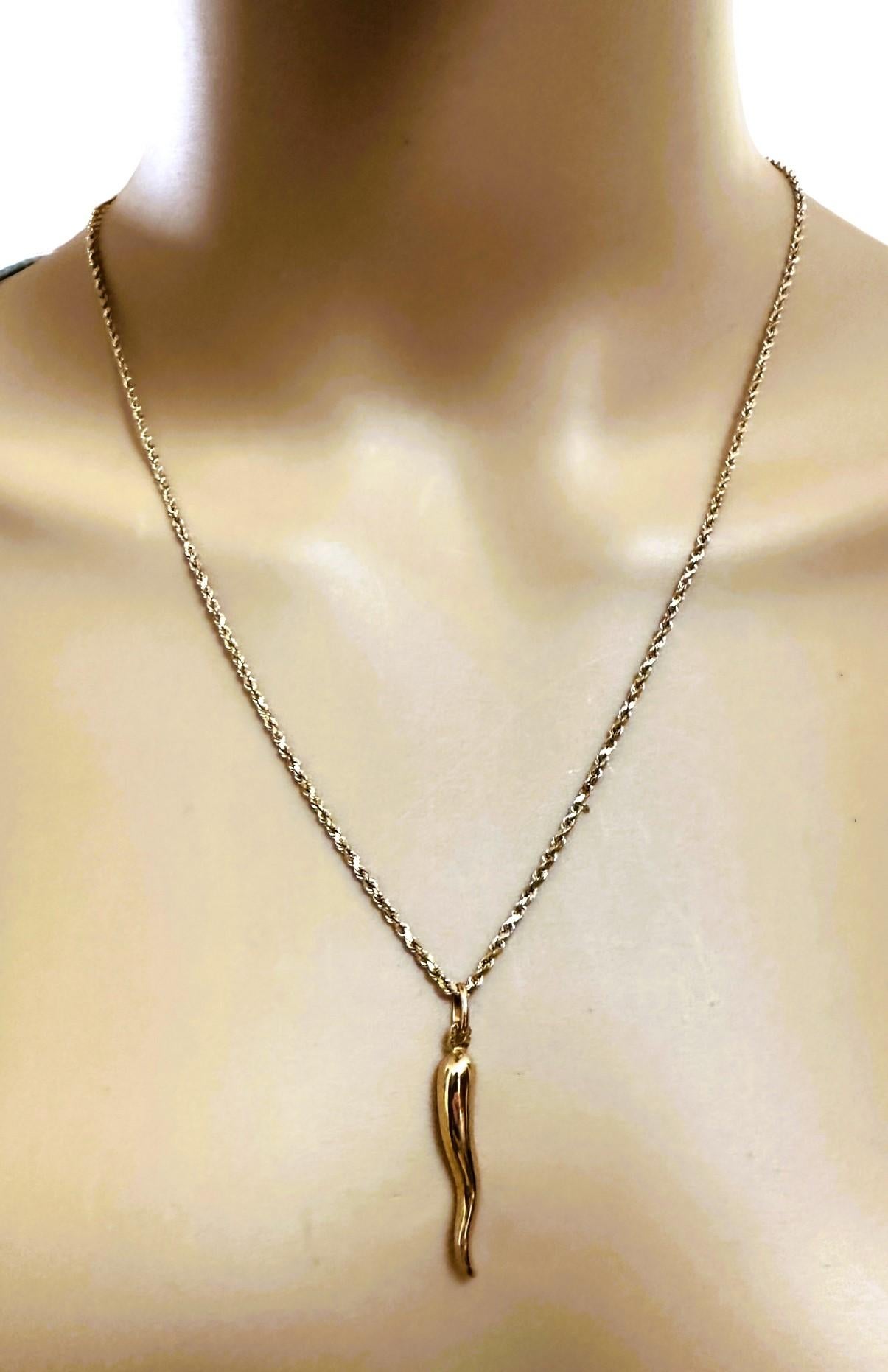 14k Yellow Gold Italian Horn Necklace and Pendant 1
