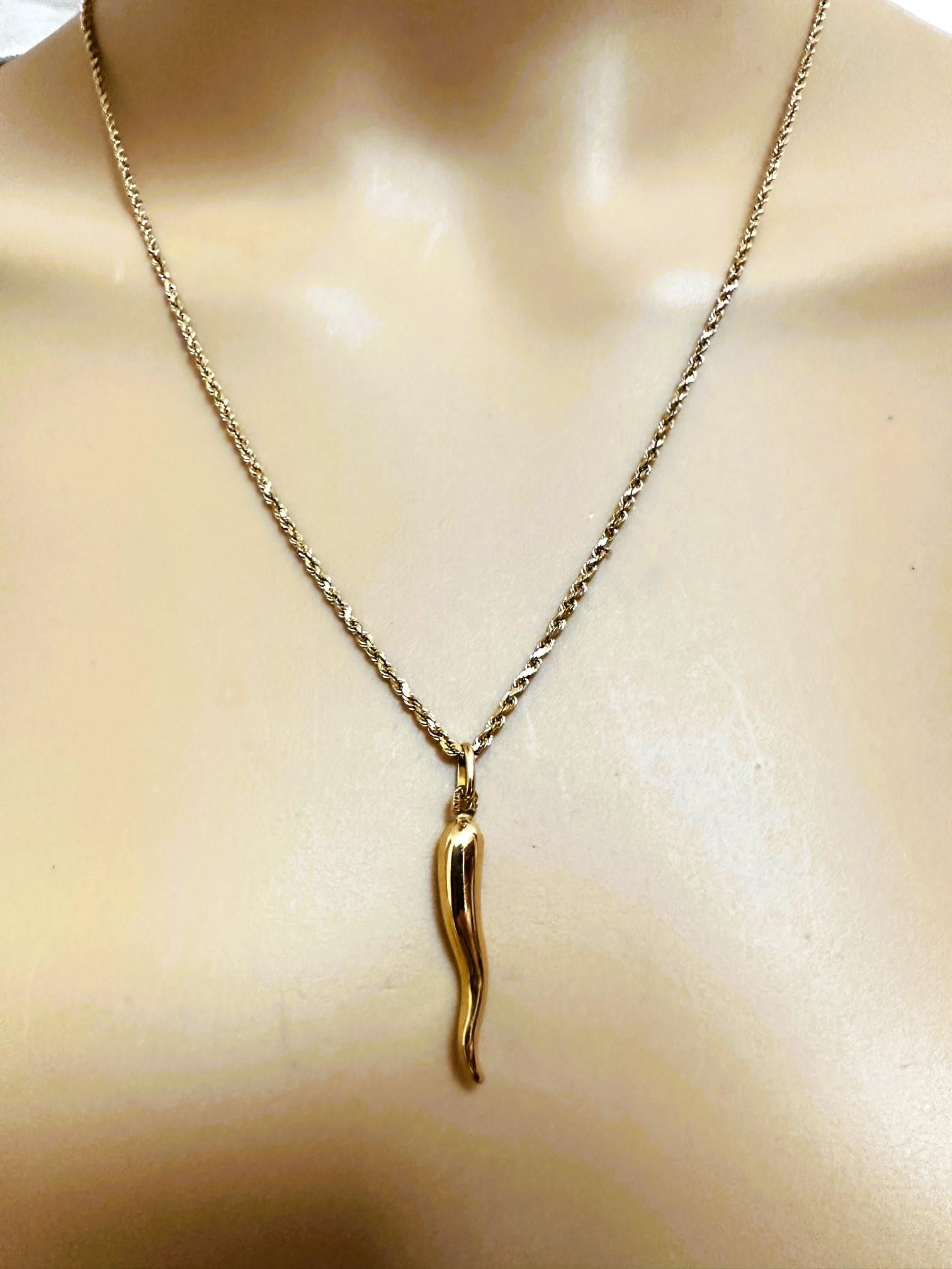 14k Yellow Gold Italian Horn Necklace and Pendant 2