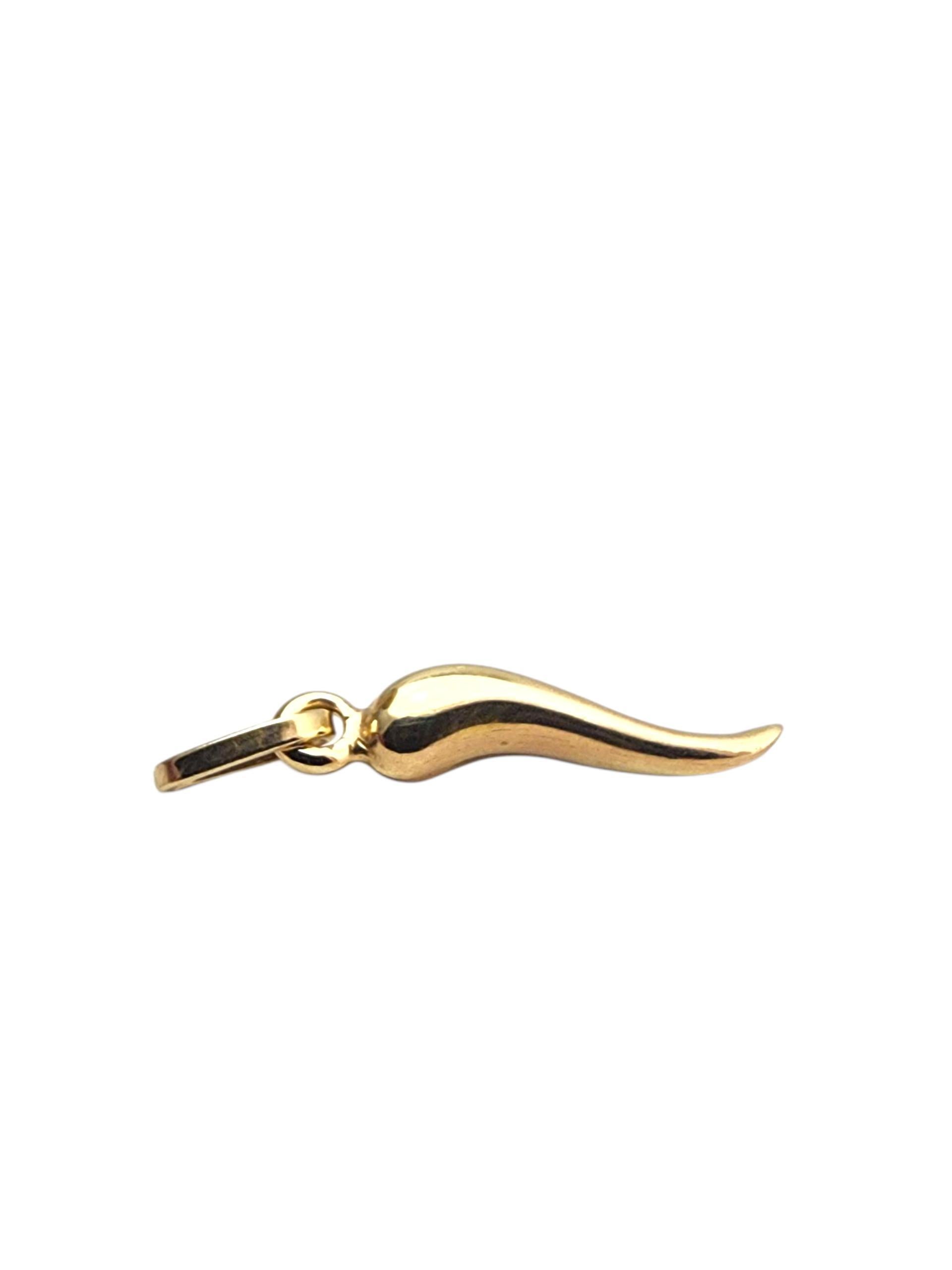 14K Yellow Gold Italian Horn Pendant #22824 For Sale 1