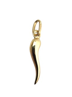 14K Yellow Gold Italian Horn Pendant #22824