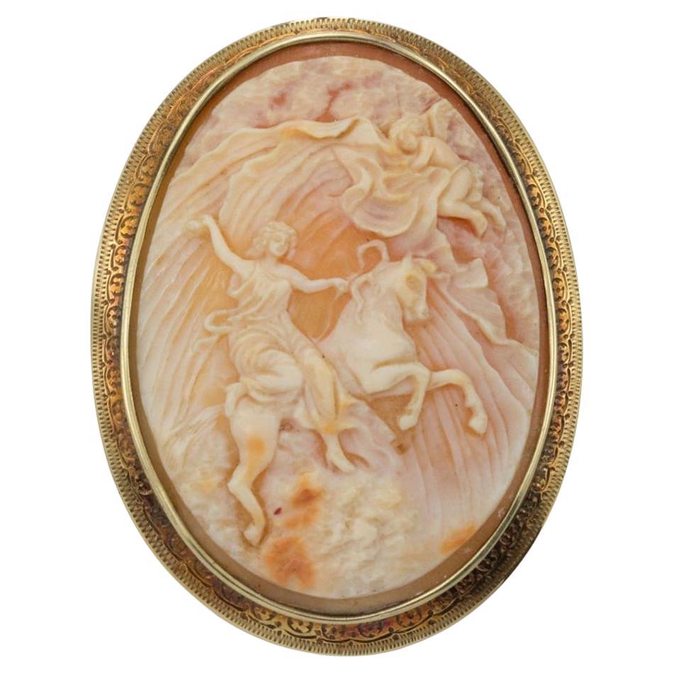 Broche camafeo grande de oro amarillo de 14 quilates "Apertura del cielo" en venta