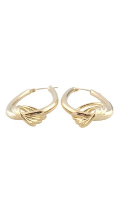 14K Yellow Gold Large Oval Hoop Earrings with Triple Circle #16198