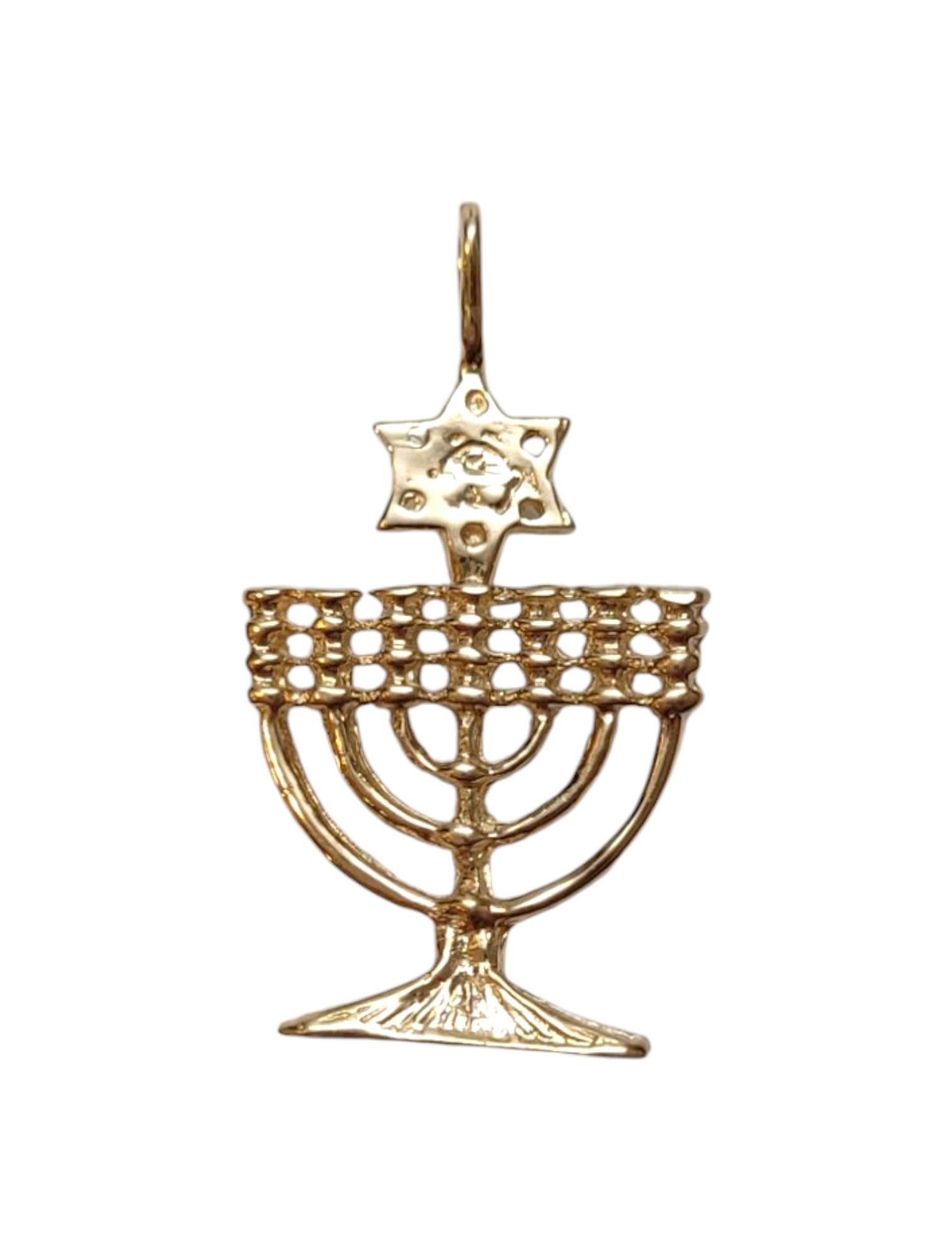 14K Yellow Gold Menorah Pendant

This pendant features a meticulously detailed menorah and Star of David in yellow gold. The charm does not stand freely.

14K Tested.

Weight: 2.32 g / 1.5 dwt.

Overall Dimensions: 30.48 mm X 16.57 mm X 2.41