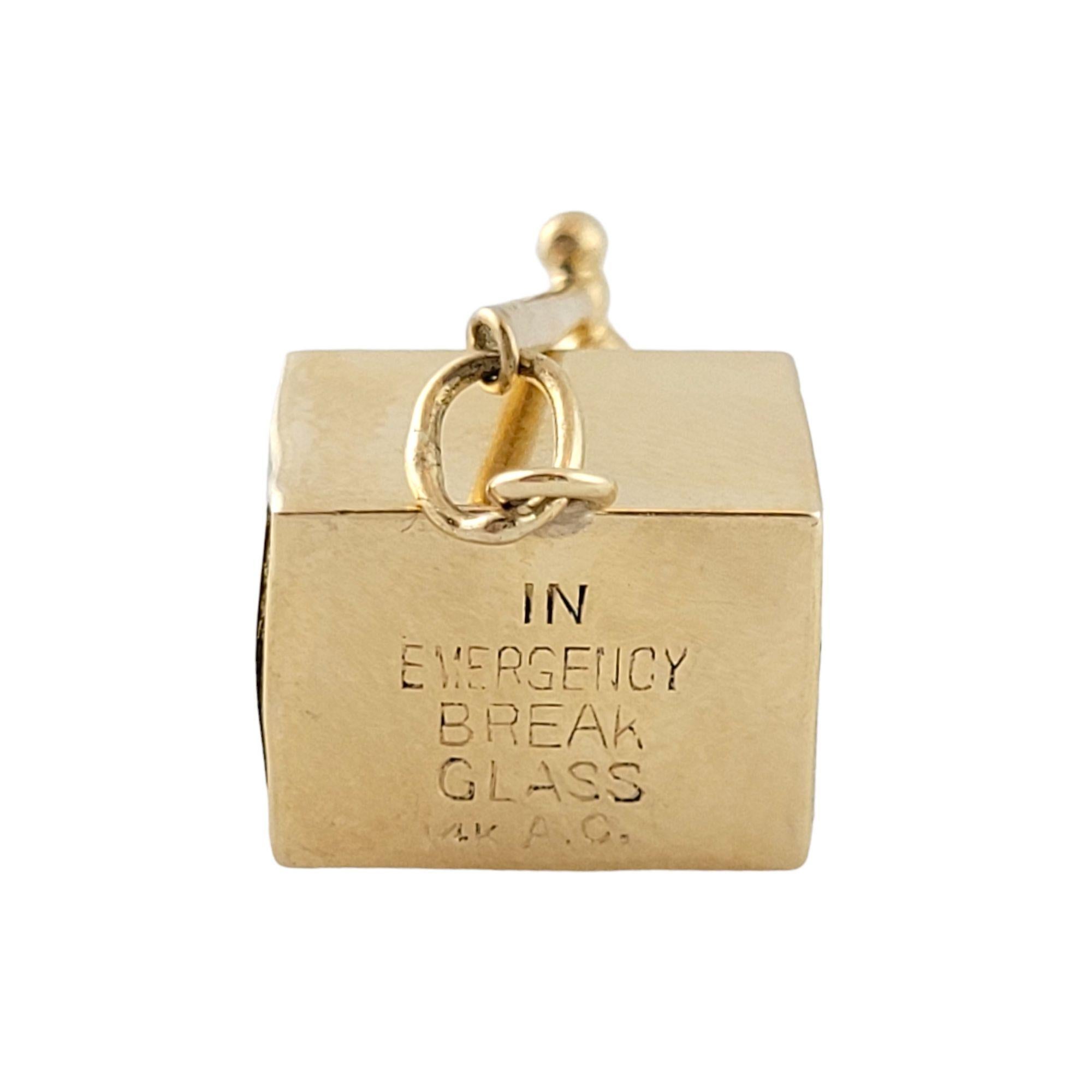 emergency dollar necklace