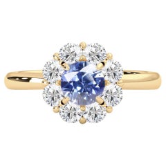 14k Yellow Gold Natural Blue Sapphire & Diamond(0.73t.c.w, SI, G-H) Halo Ring