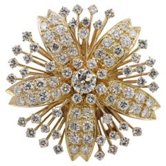Brooches