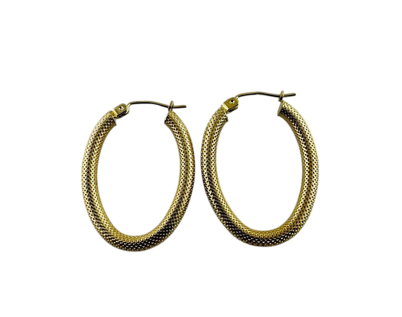 Women's 14K Yellow Gold Oval Coil Design Hoop Earrings #20688 For Sale