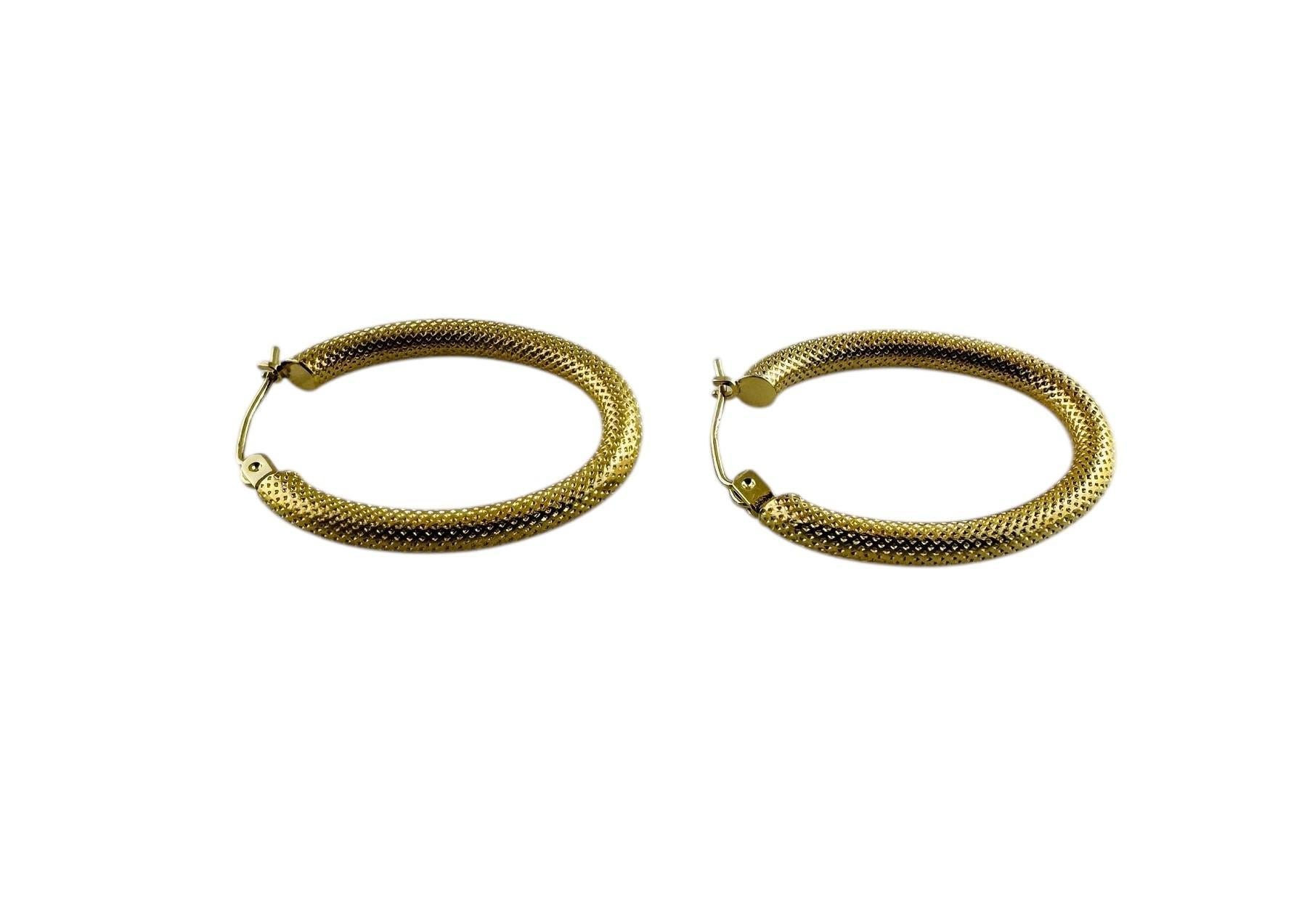 14K Yellow Gold Oval Coil Design Hoop Earrings #20688 For Sale 2