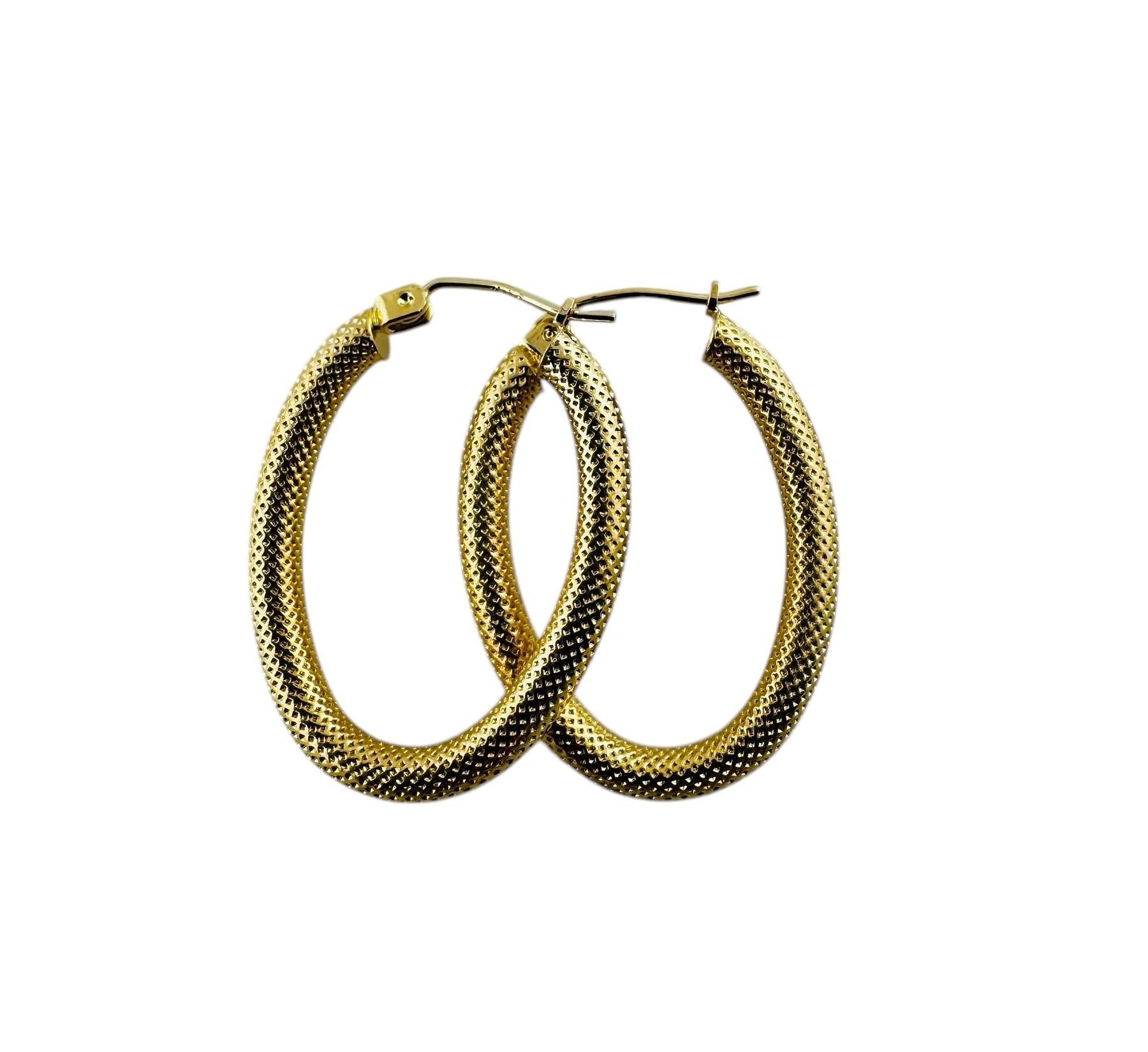 14K Yellow Gold Oval Coil Design Hoop Earrings #20688