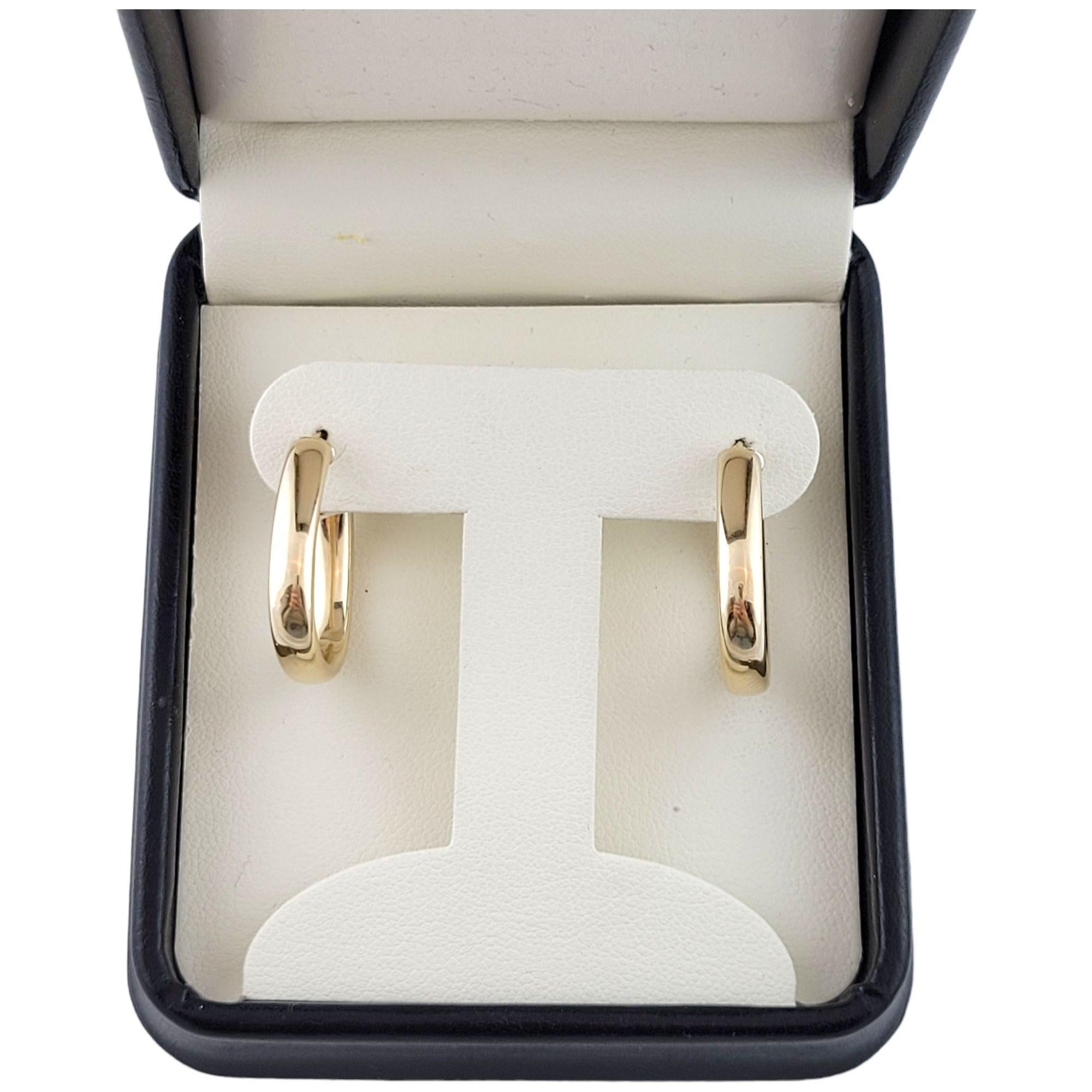 14K Yellow Gold Oval Hoop Earrings #13409 2
