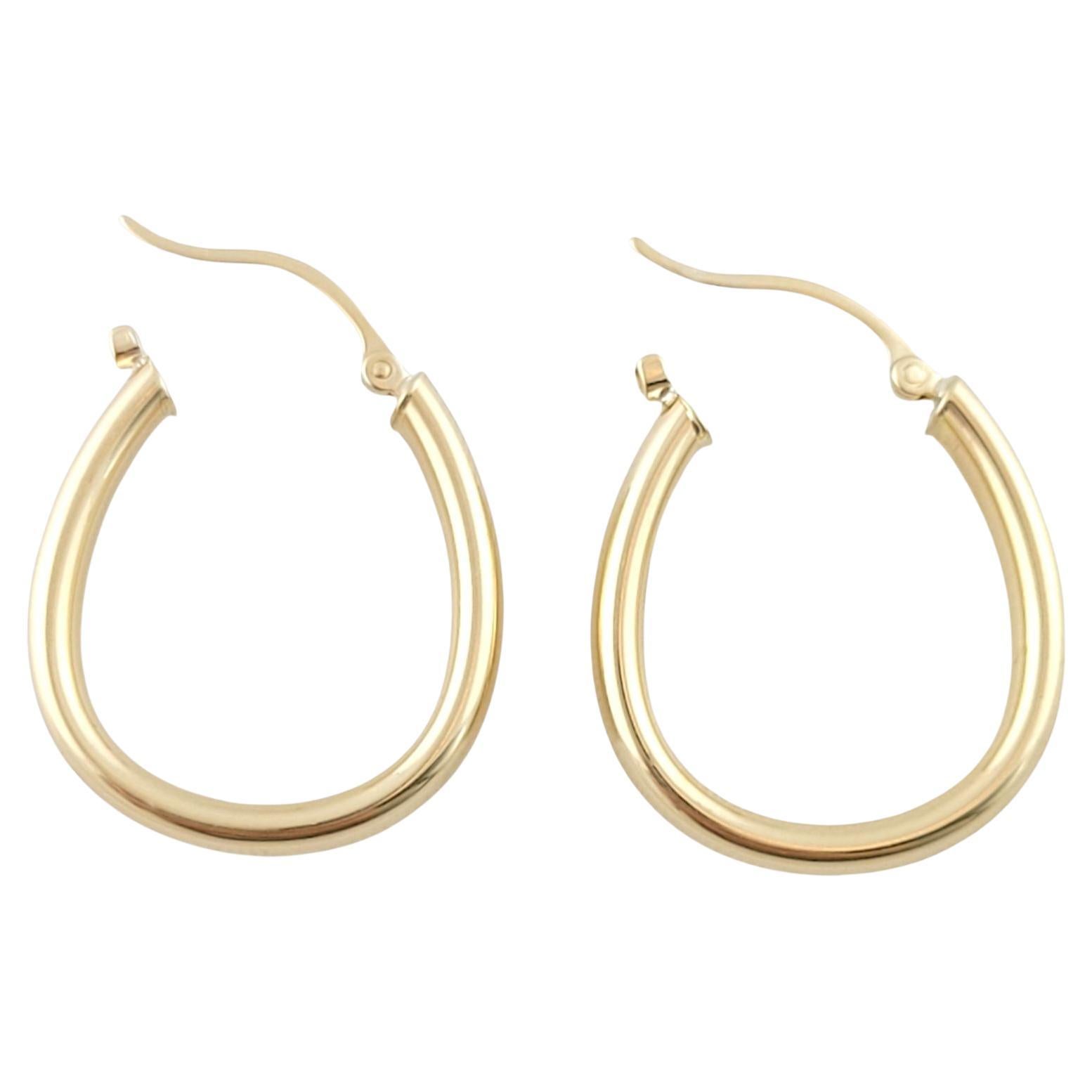 14K Yellow Gold Oval Hoop Earrings #13409