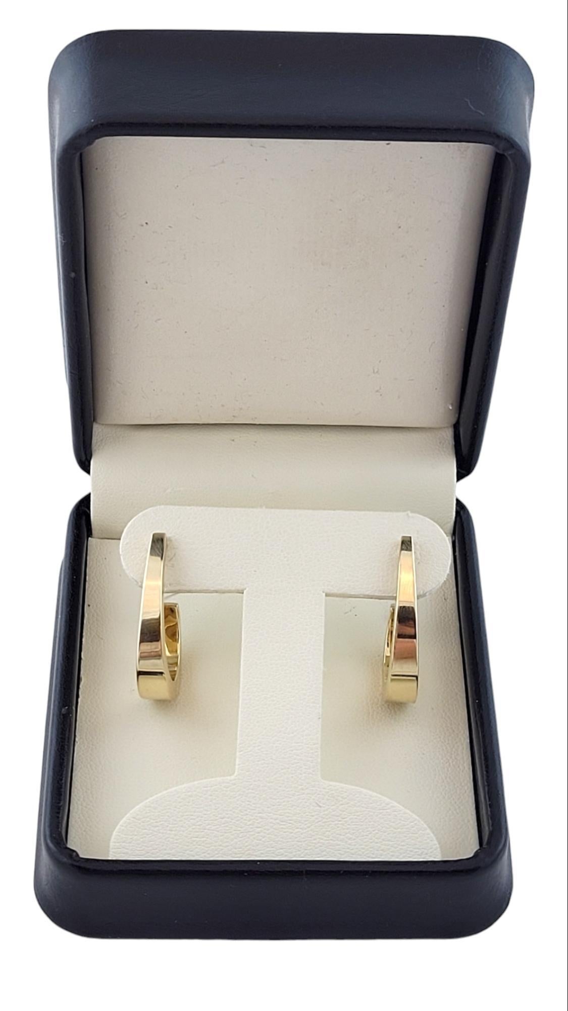 Ovale 14K Gelbgold-Ohrringe #15916 2