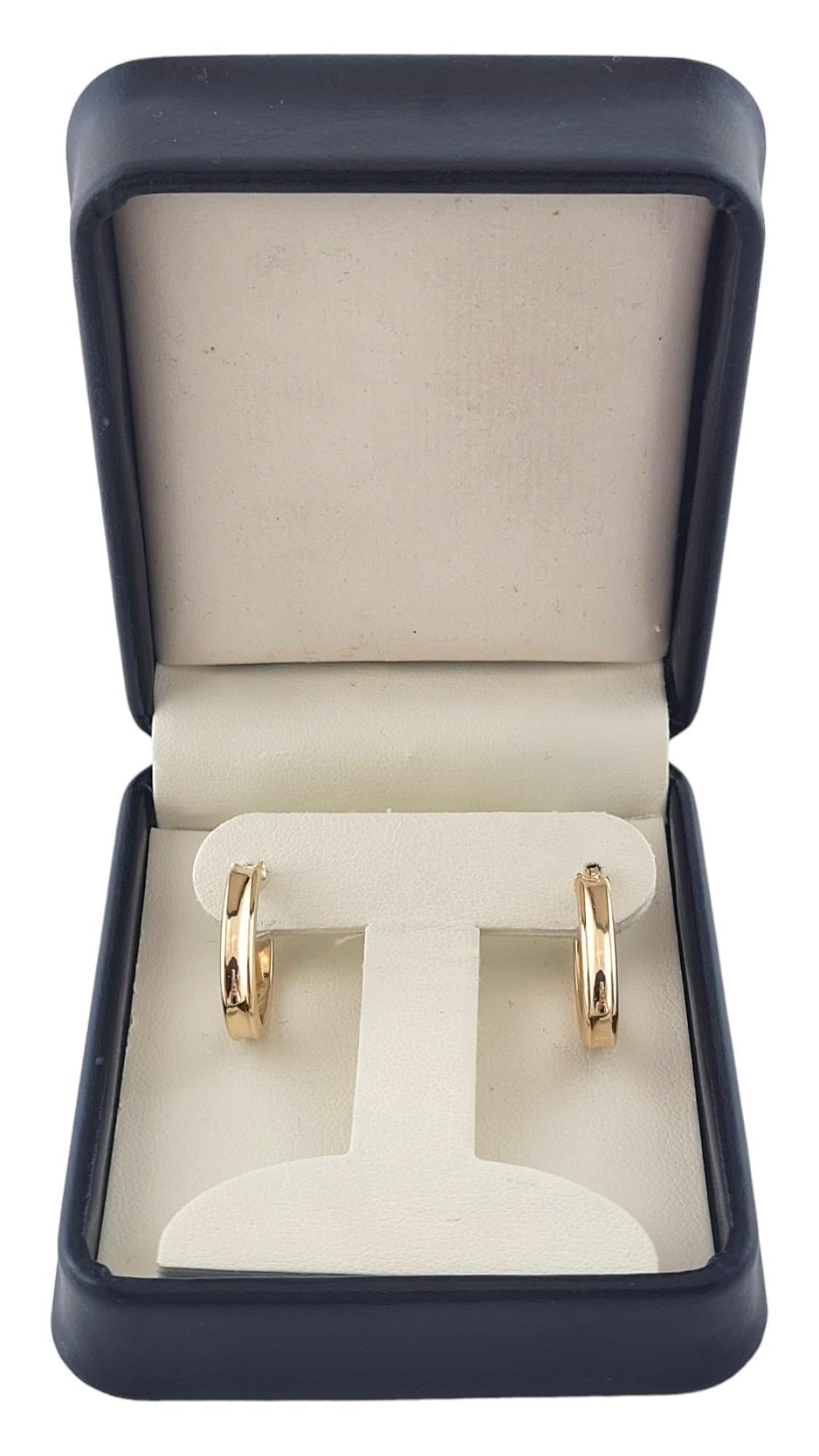 14K Yellow Gold Oval Hoop Earrings #17388 For Sale 2