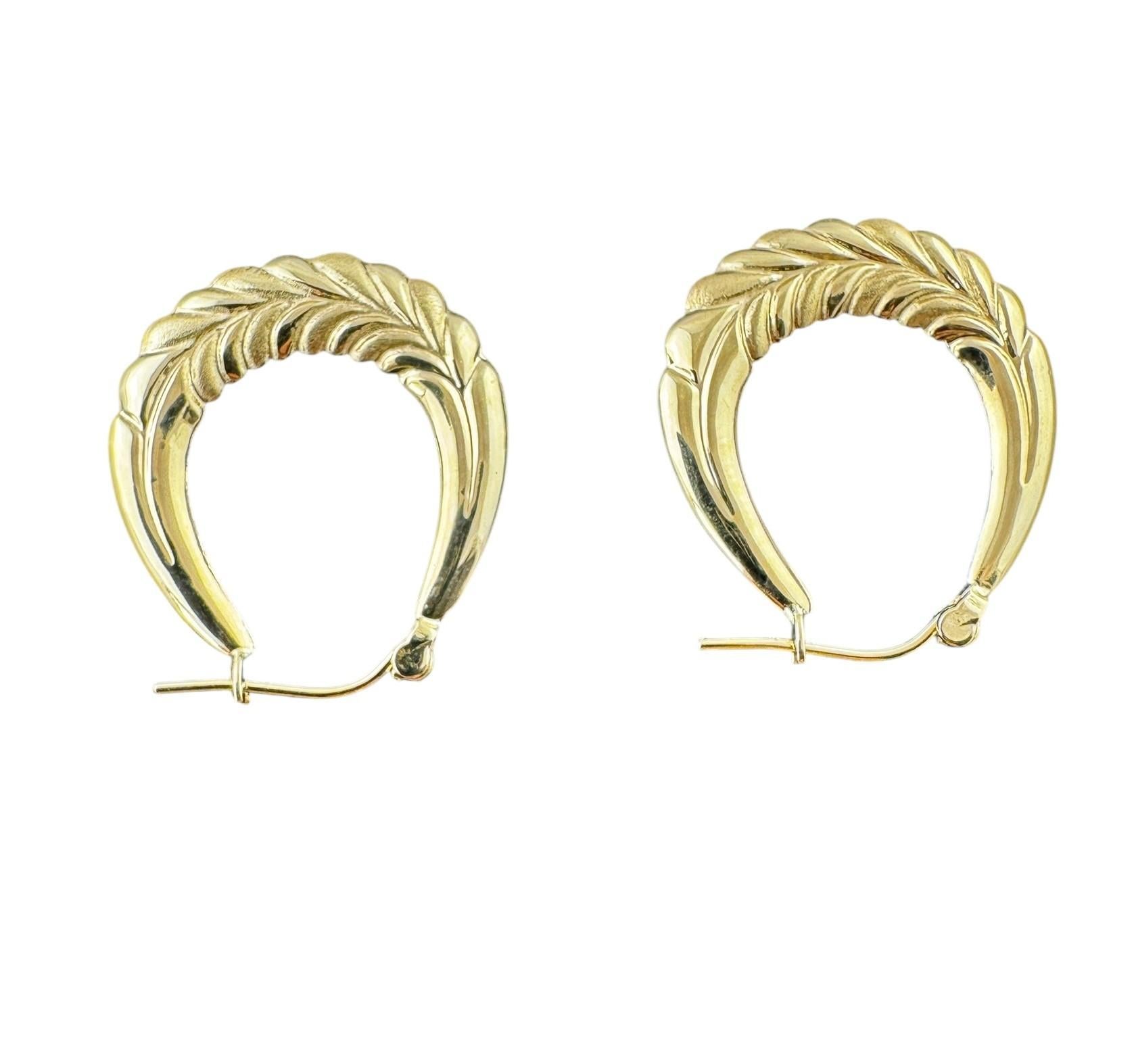 Orecchini a cerchio ovali in oro giallo 14 carati -

Questi orecchini a cerchio in oro giallo 14K sono un gioiello senza tempo. Con la loro classica forma rotonda e la finitura lucida, offrono un'eleganza e una versatilità senza sforzo, perfette da