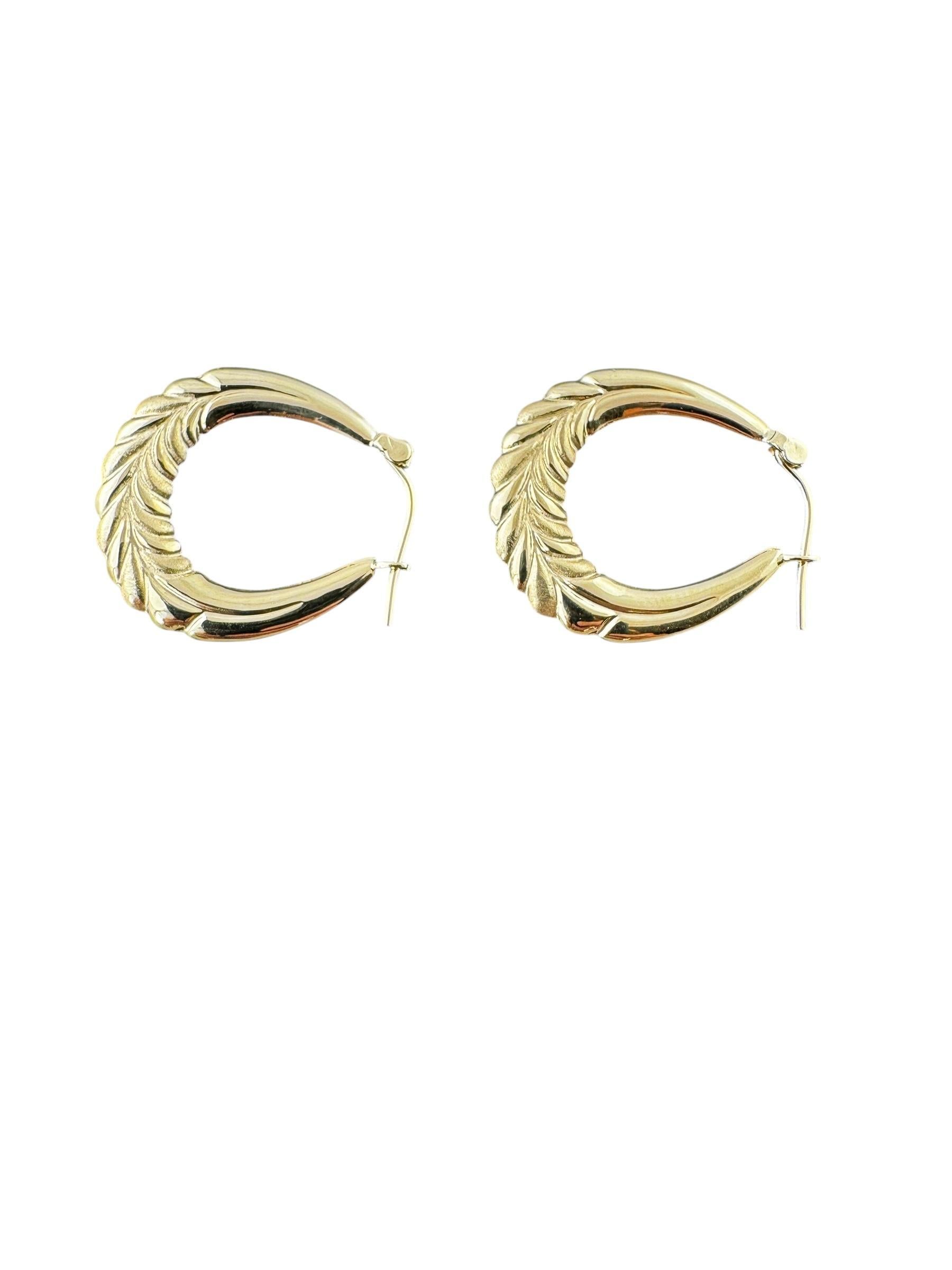 Donna Orecchini a cerchio ovali in oro giallo 14K #22519 in vendita