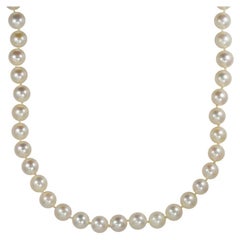 Collana di perle in oro giallo 14K da 22"