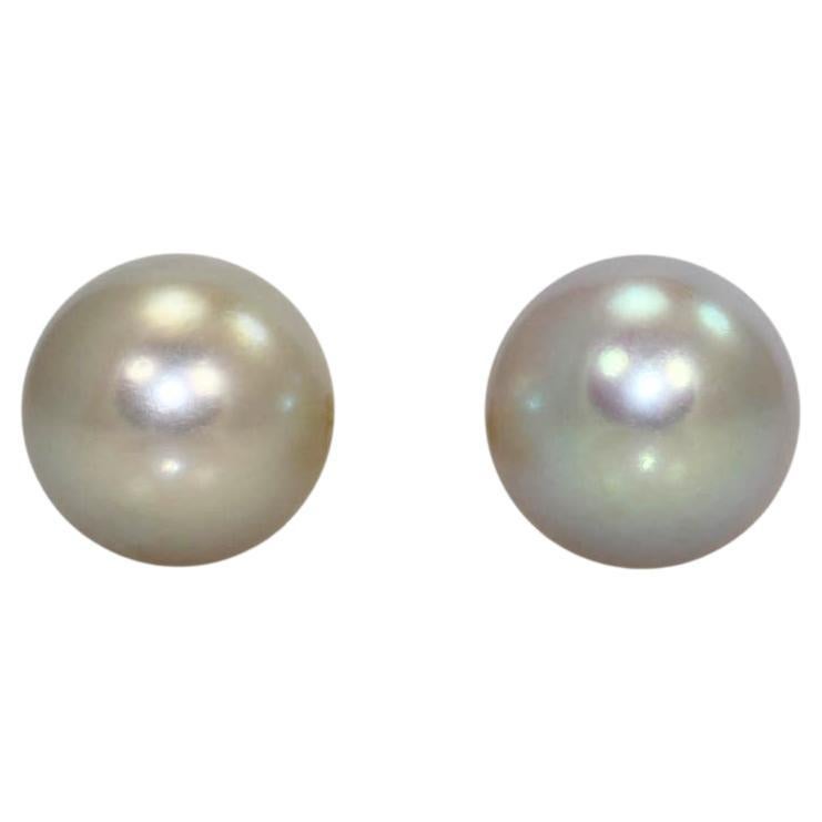 14K Yellow Gold Pearl Stud Earrings, 1.7gr For Sale