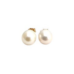 14K Yellow Gold Pearl Stud Earrings #22888