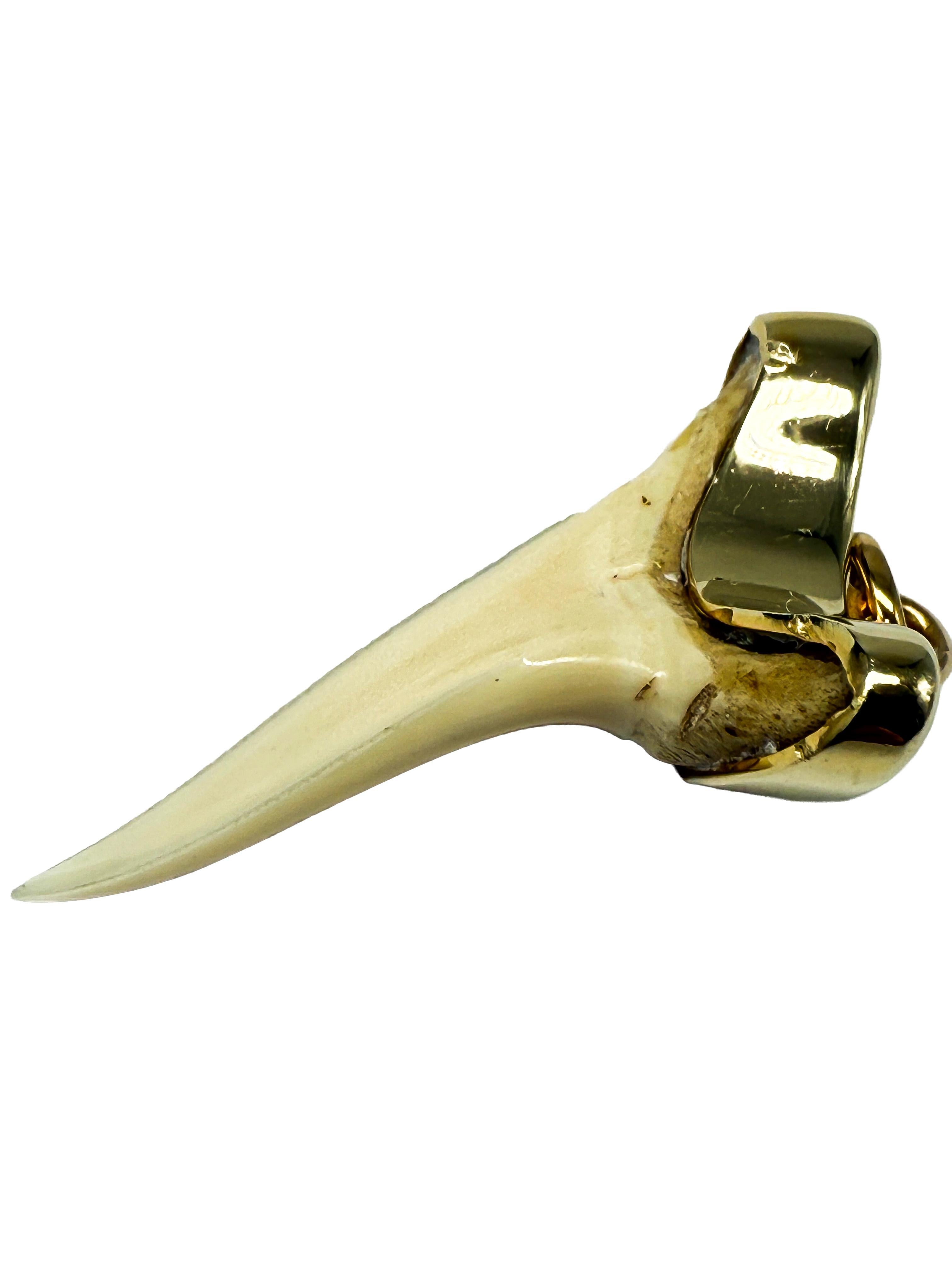 De los hombres Colgante de oro amarillo de 14 quilates con un diente de tiburón en venta