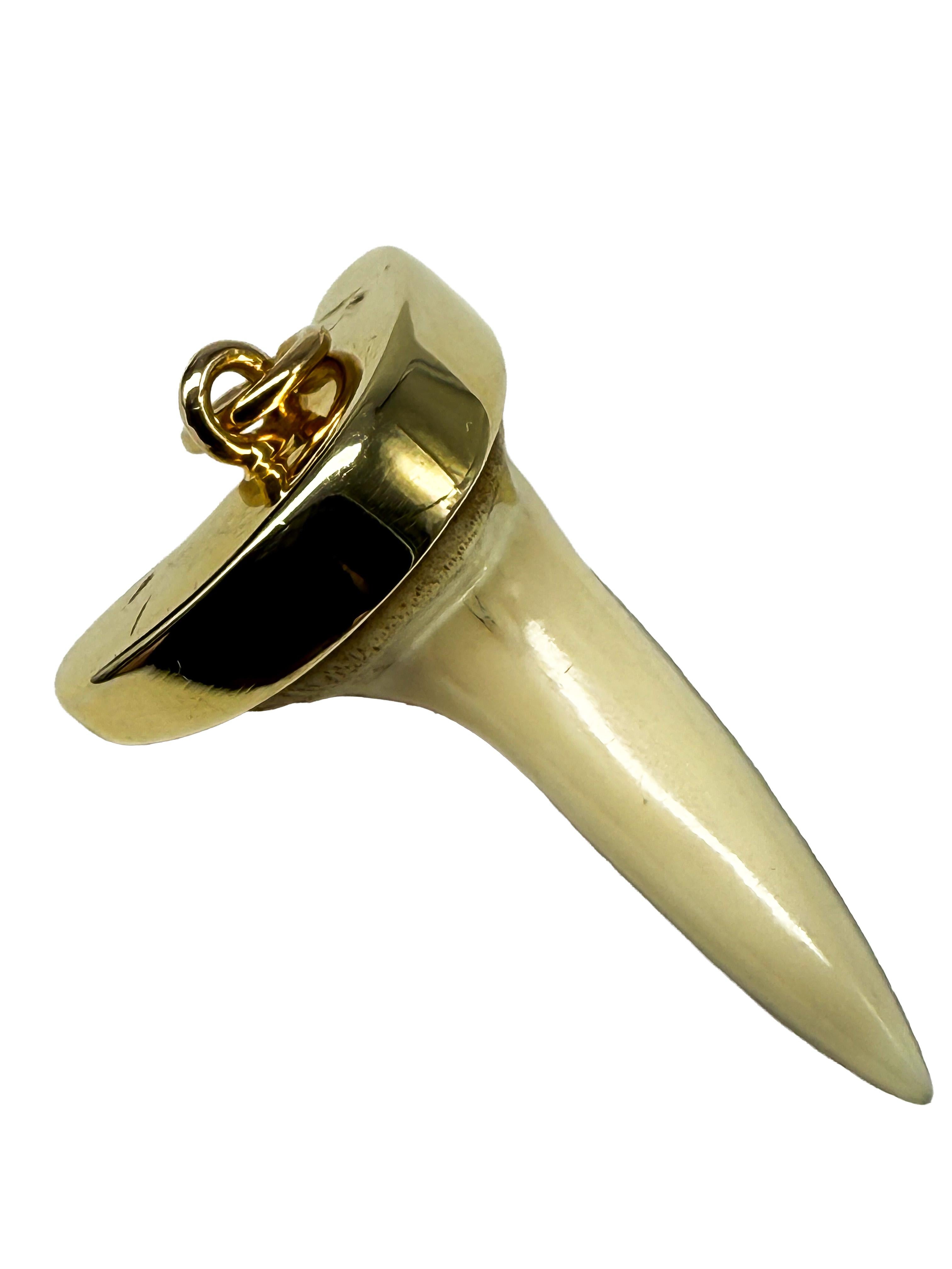 Colgante de oro amarillo de 14 quilates con un diente de tiburón en venta 4